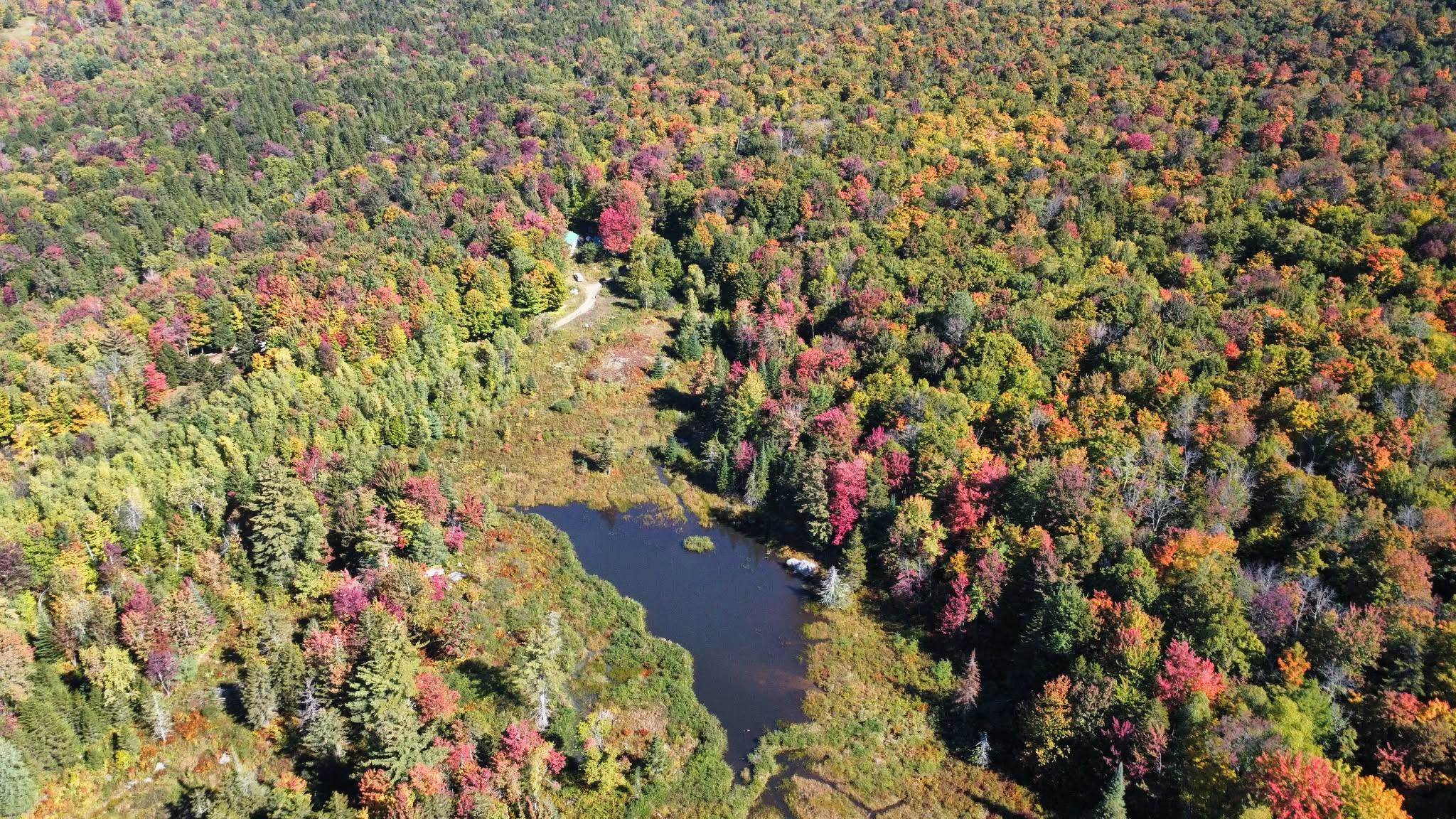 689 Black Falls Extension Property Photo 26