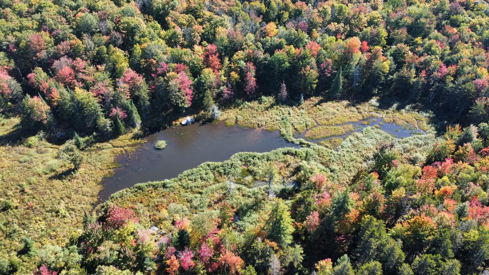 689 Black Falls Extension Property Photo 28