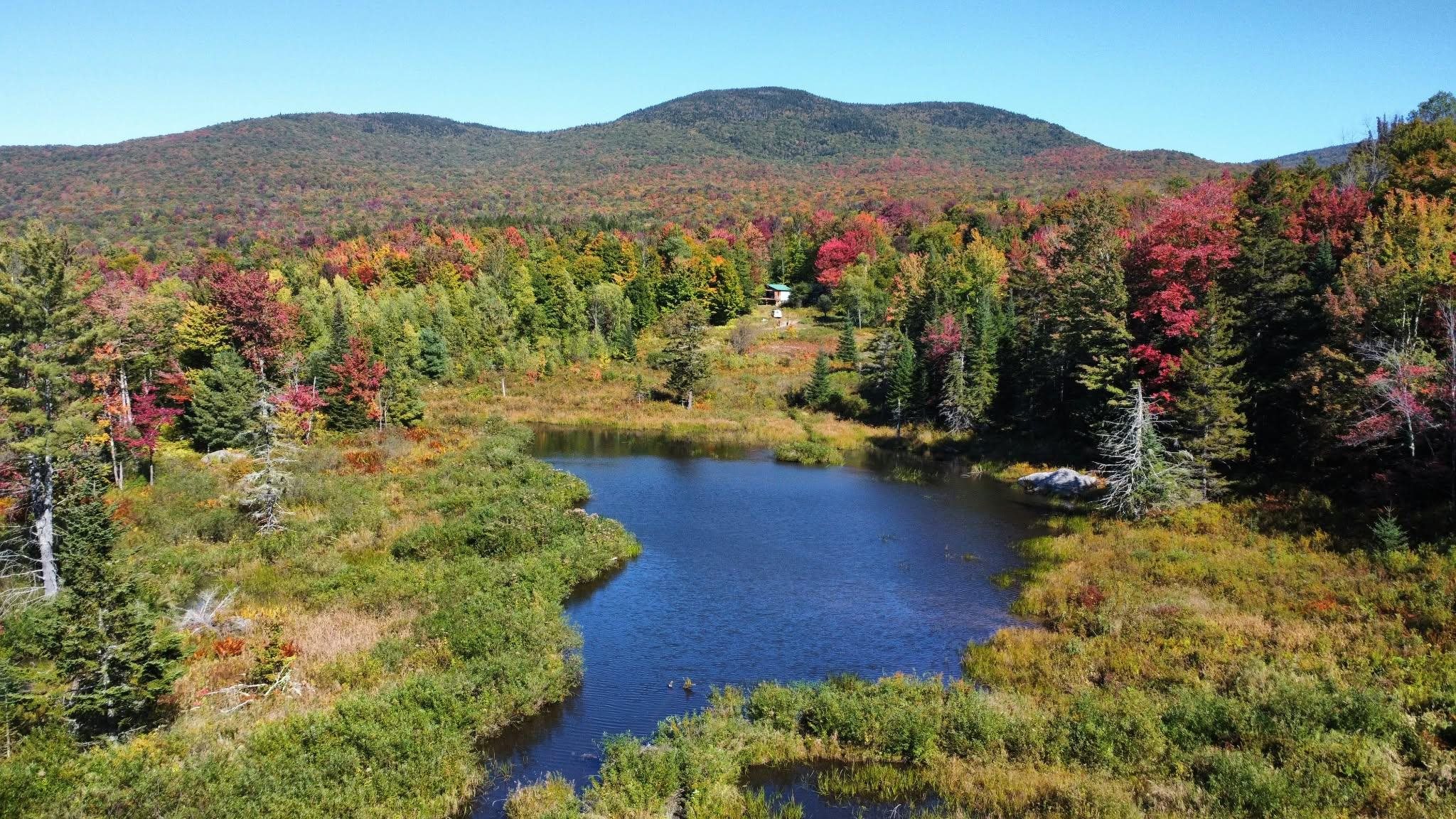 689 Black Falls Extension Property Photo 29