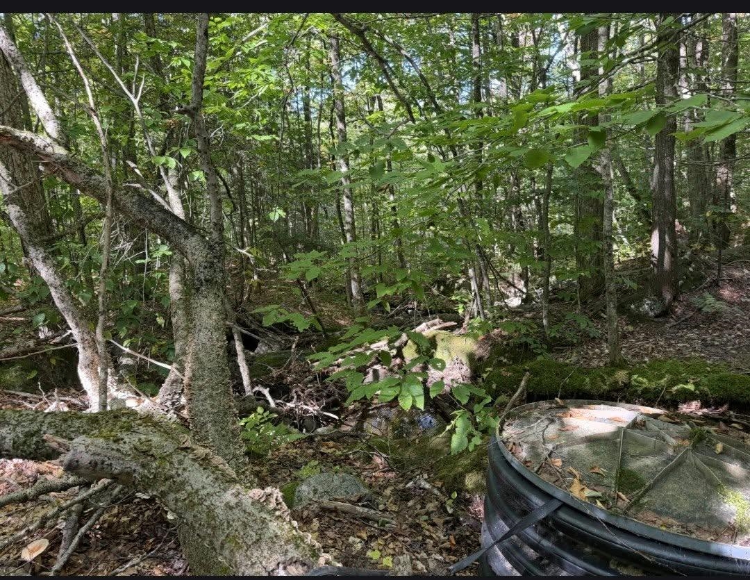 689 Black Falls Extension Property Photo 35