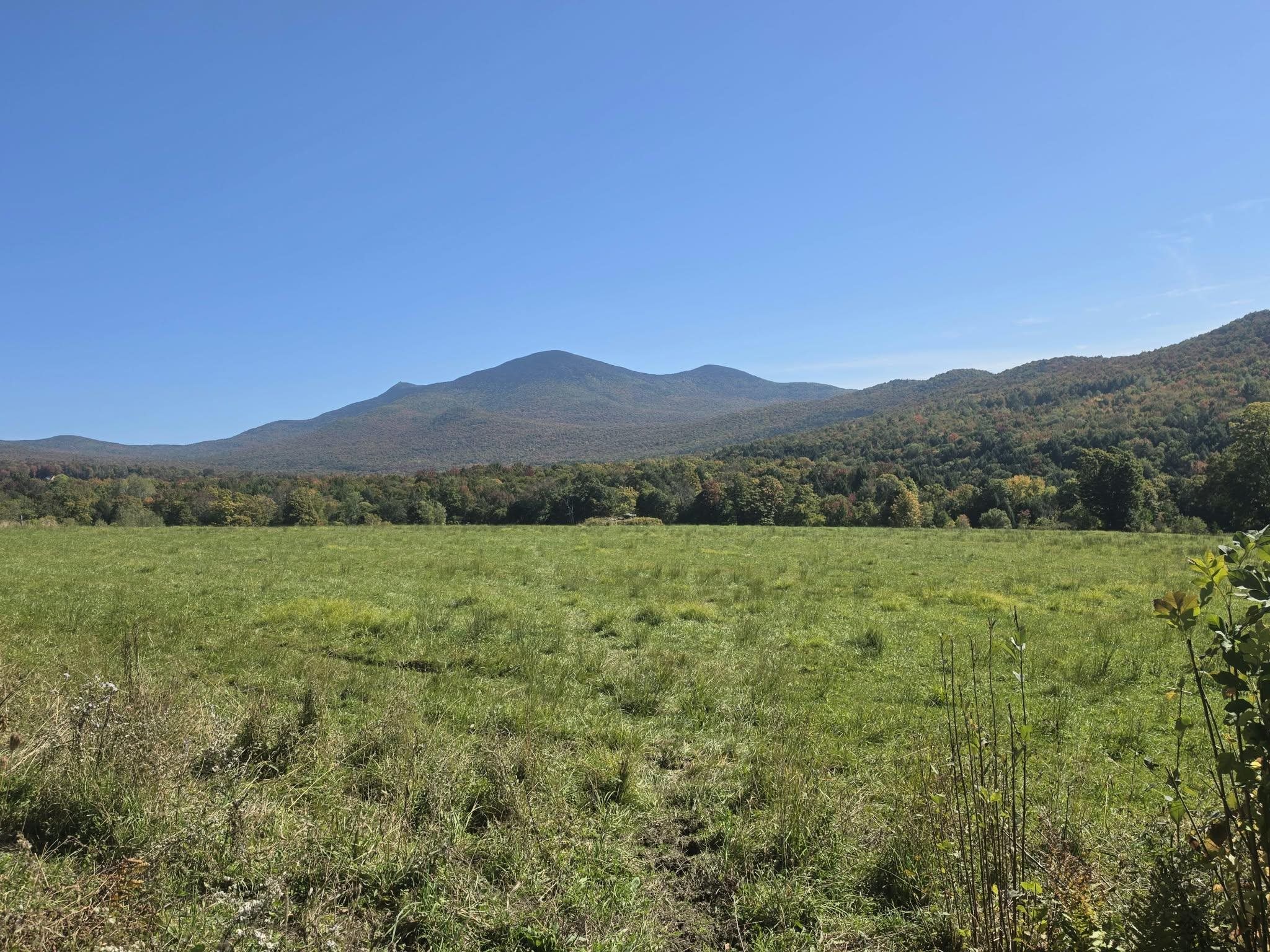689 Black Falls Extension Property Photo 38