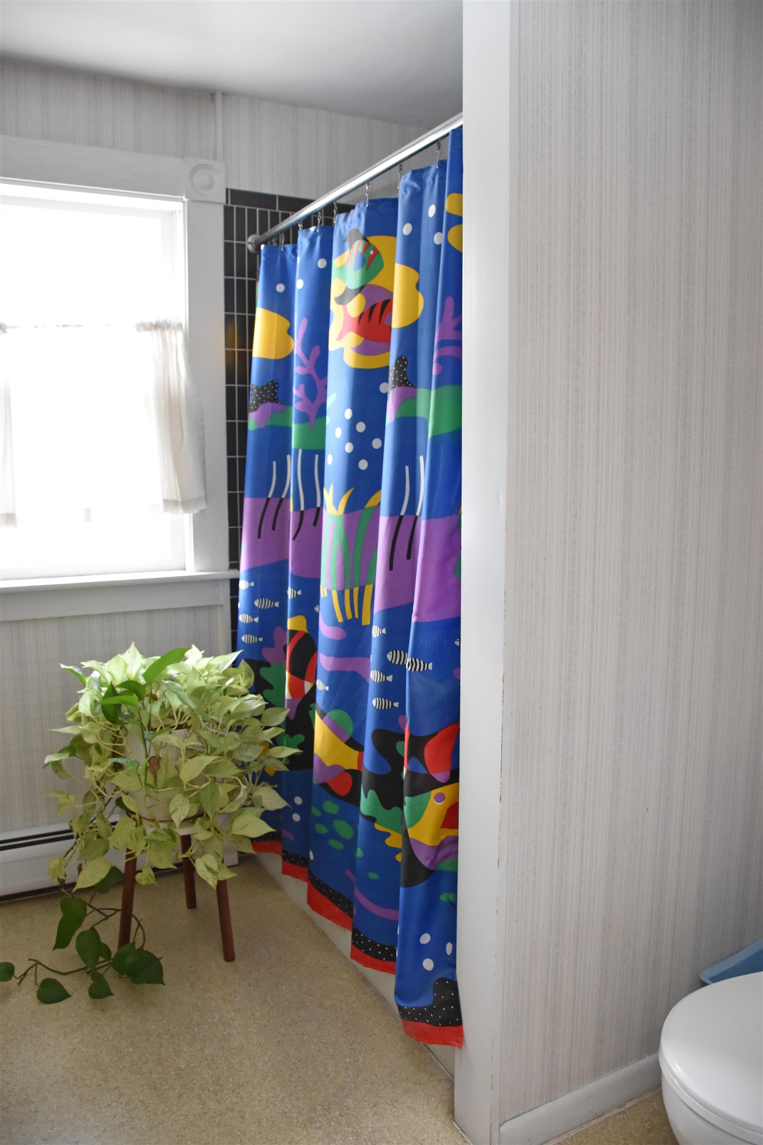 25 Court Street Property Photo 12