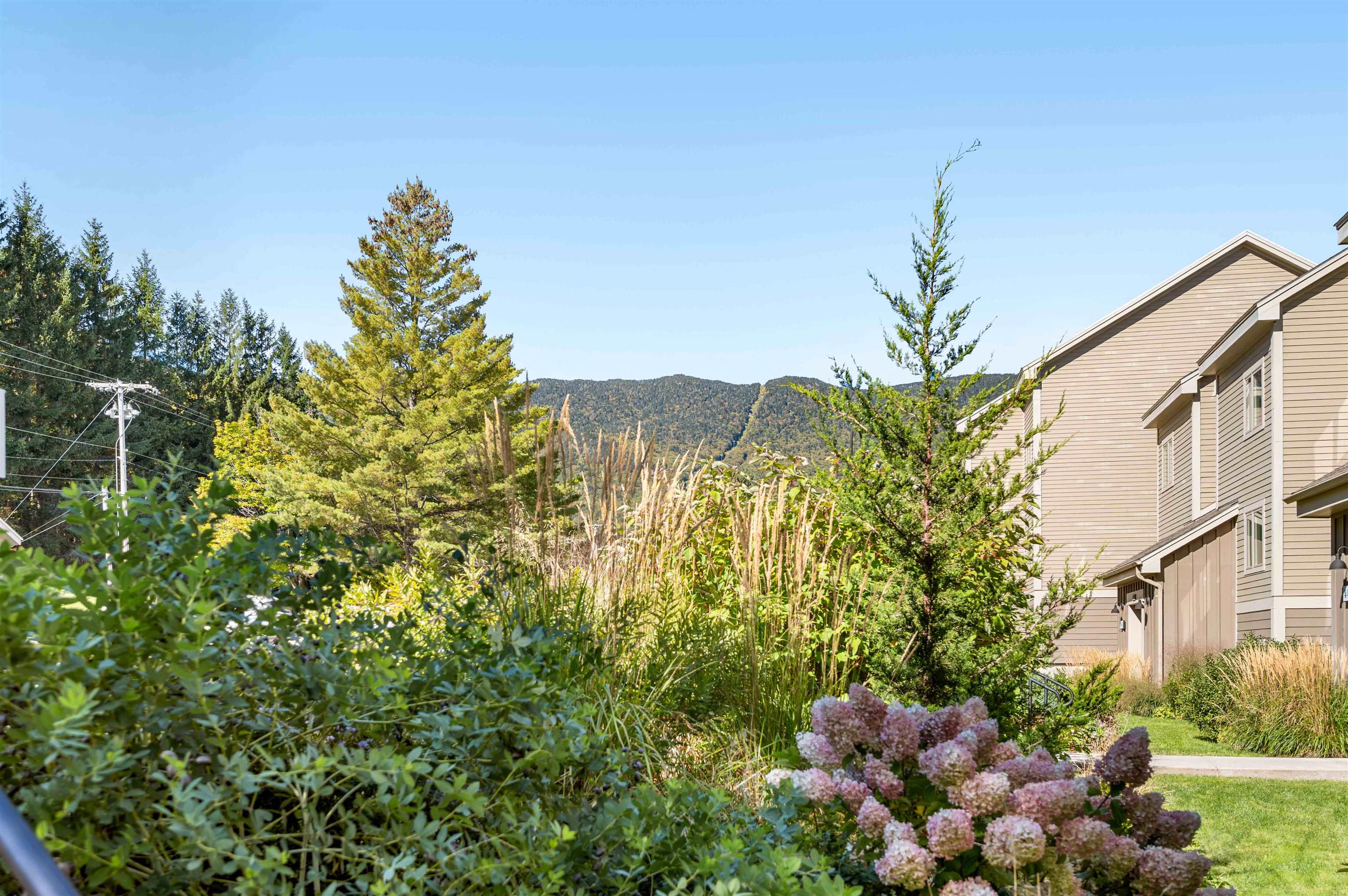 116 Snow Creek Road Property Photo 4