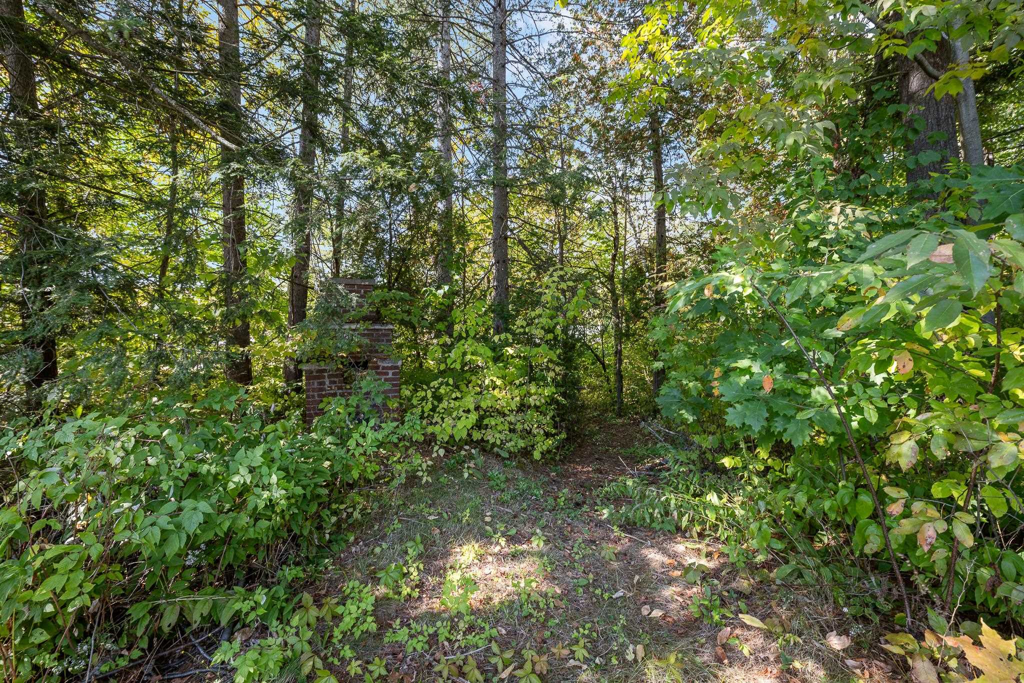 1843 Hutchins Street Property Photo 36