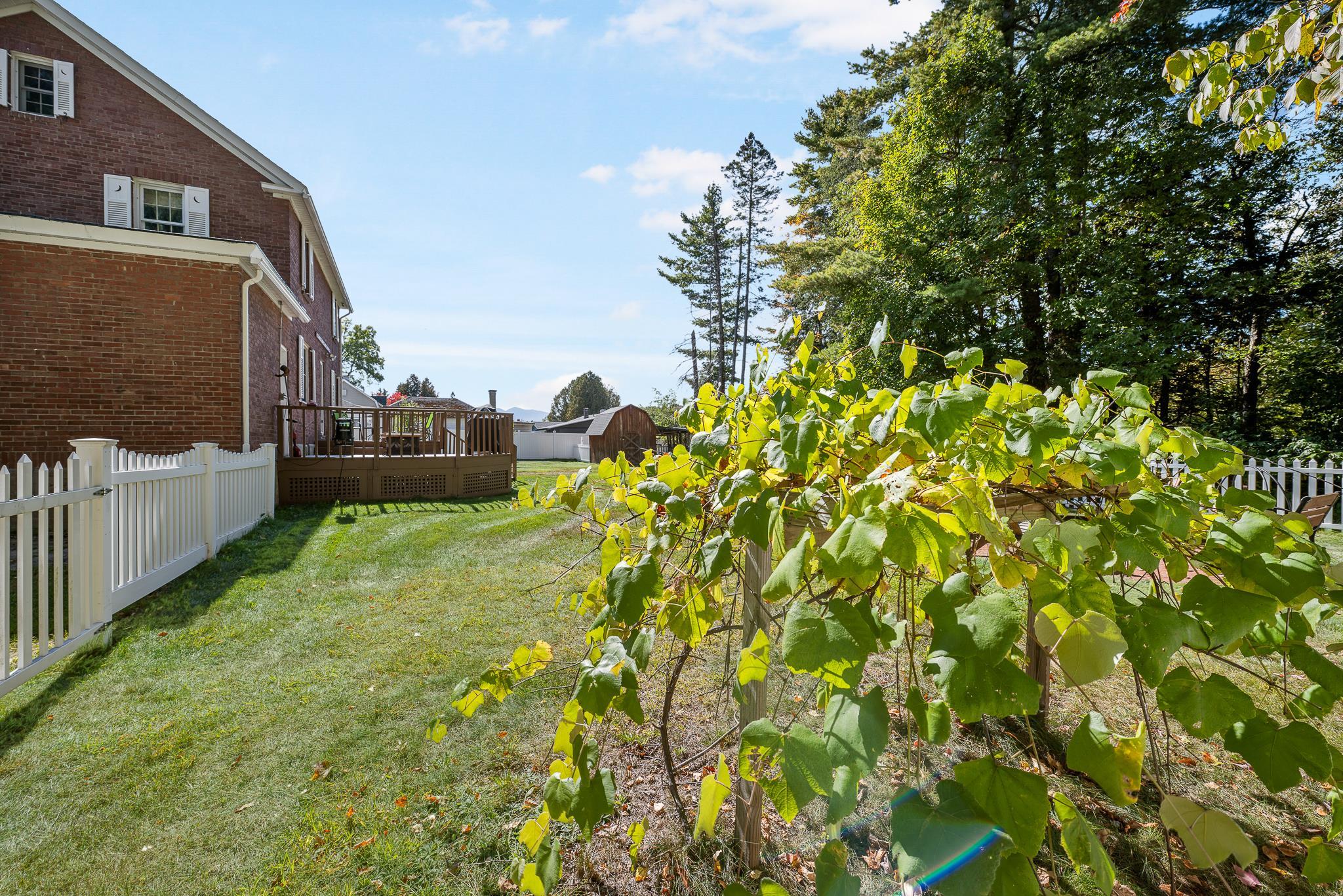 1843 Hutchins Street Property Photo 47