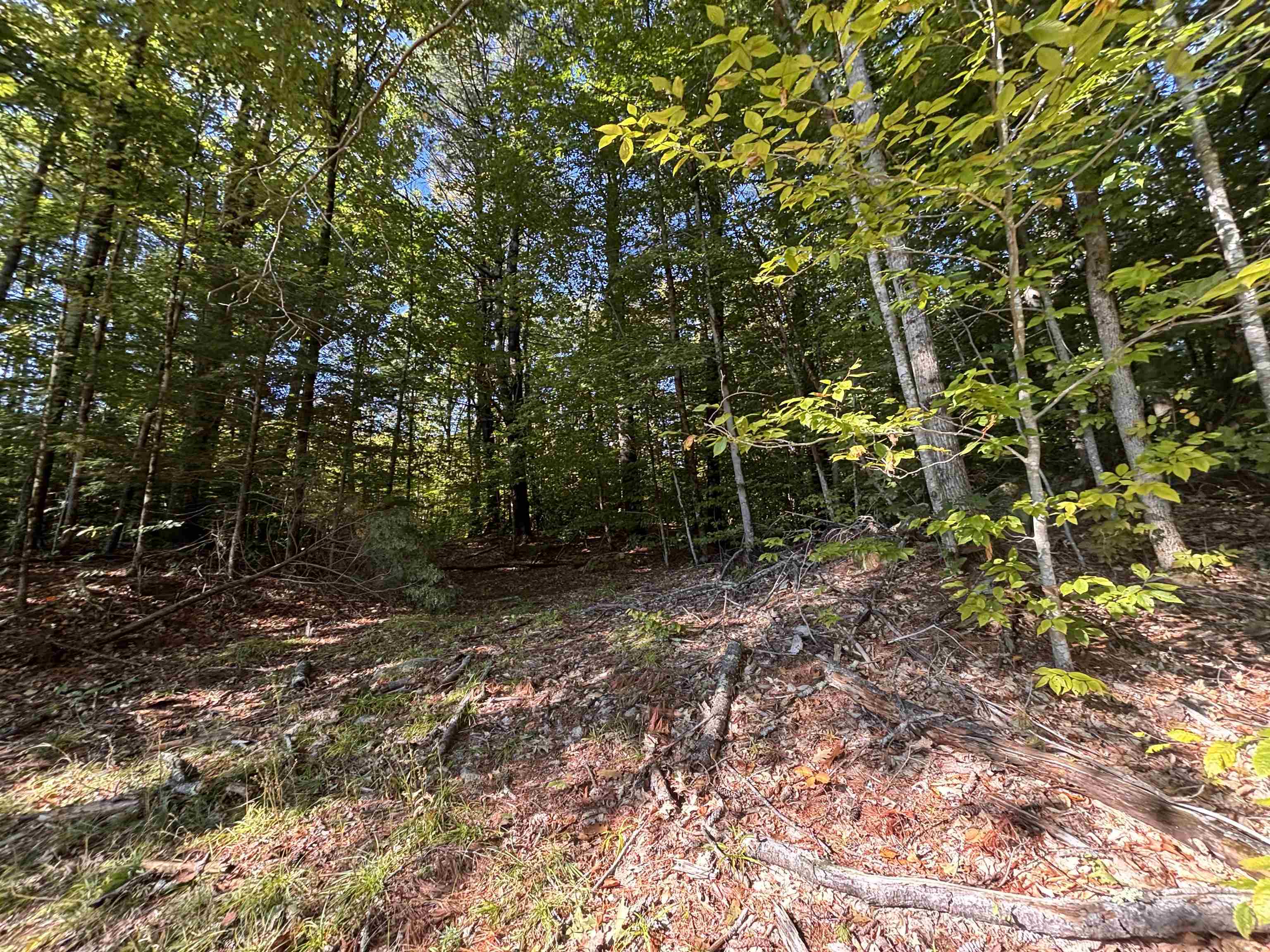 0 Cutoff Road Property Photo 1