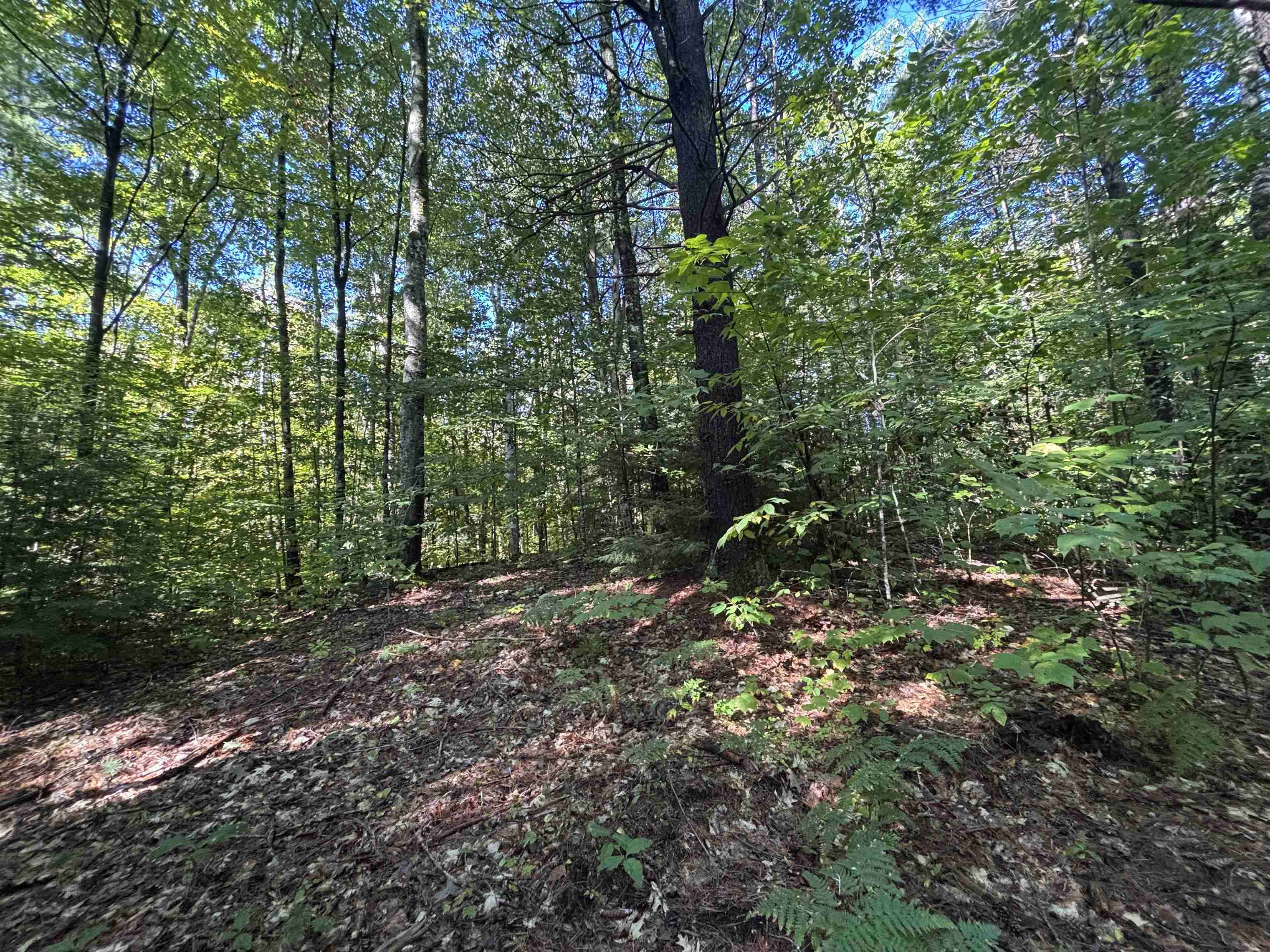 0 Cutoff Road Property Photo 3