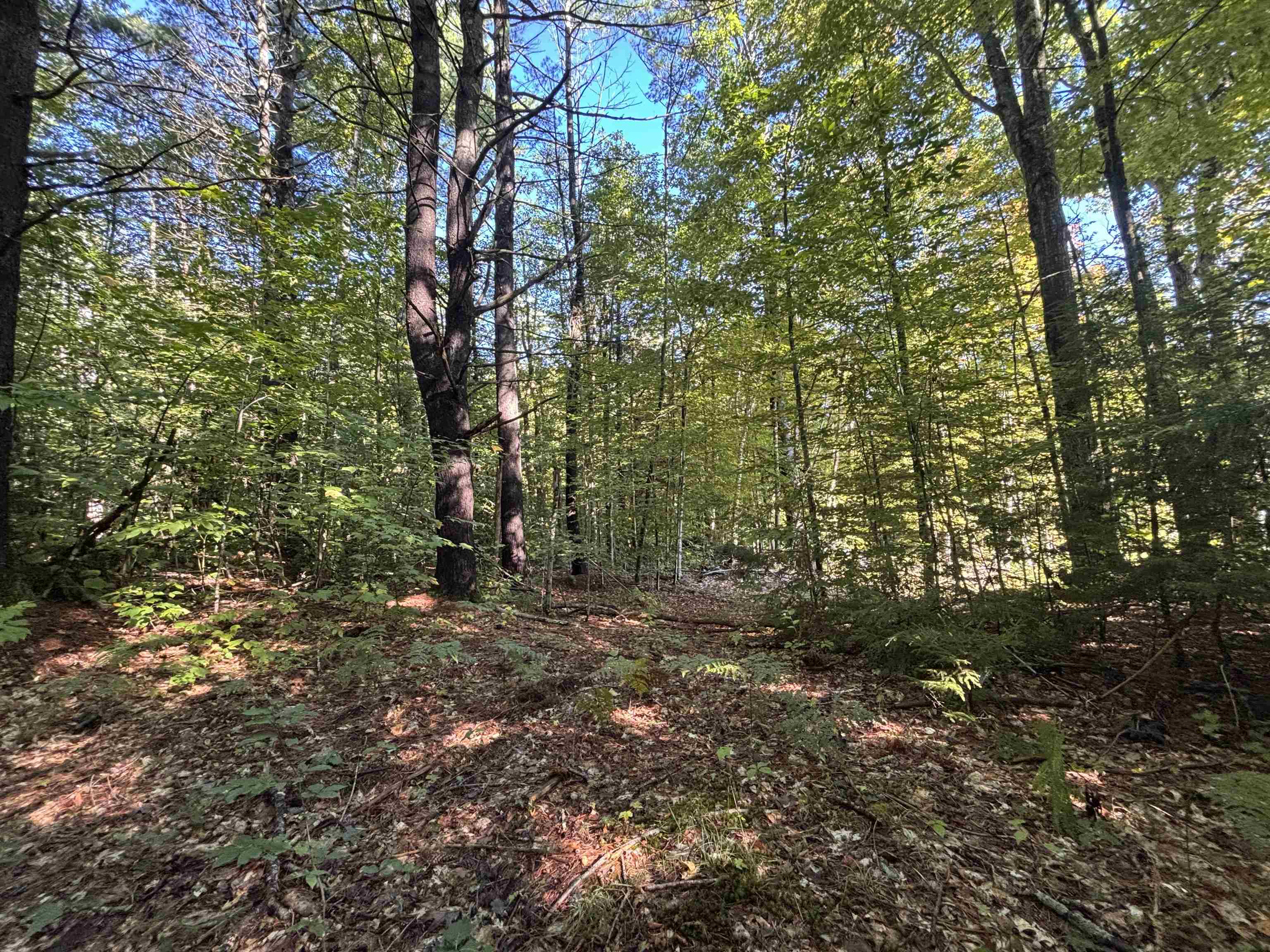 0 Cutoff Road Property Photo 4
