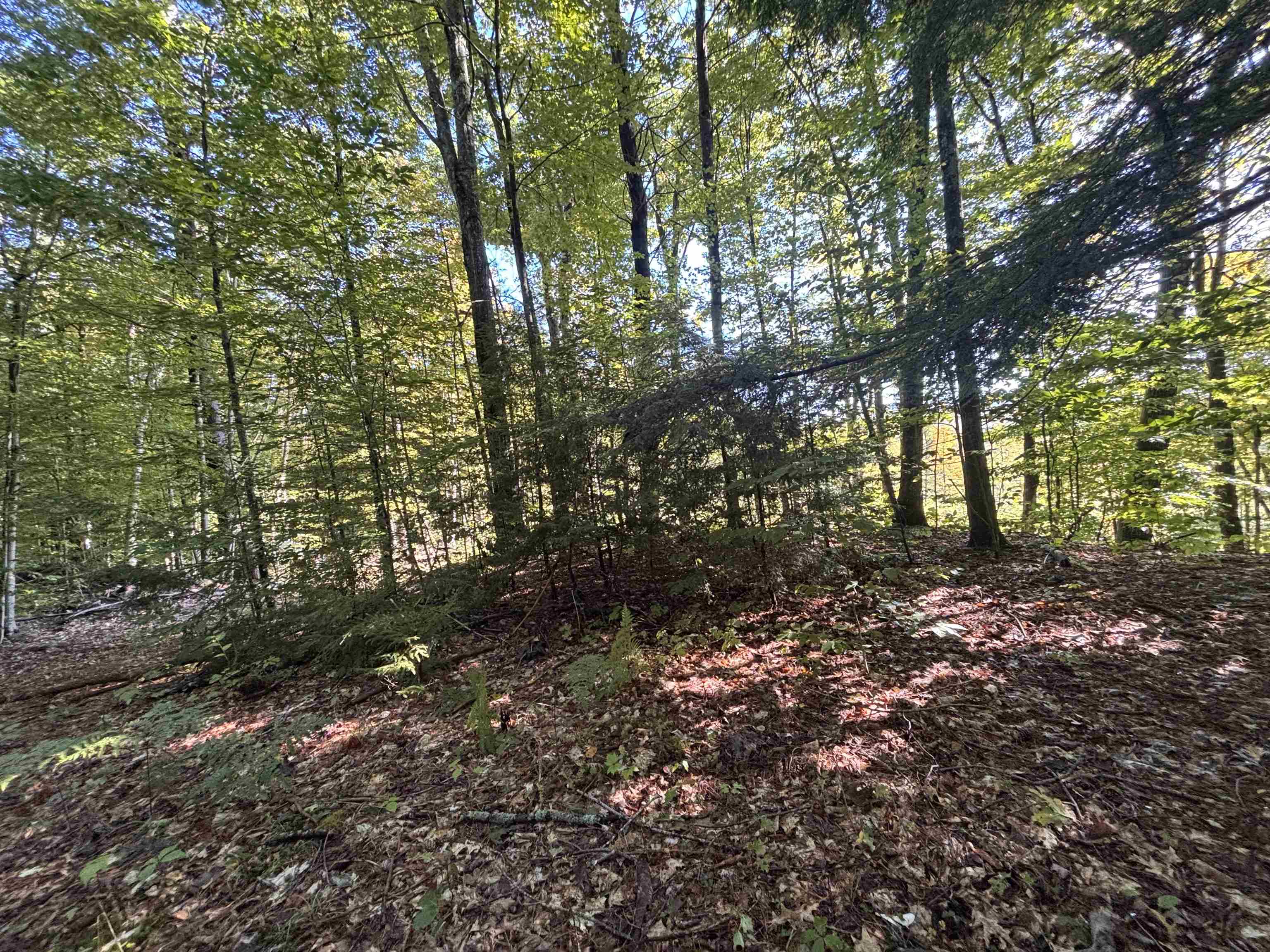 0 Cutoff Road Property Photo 5