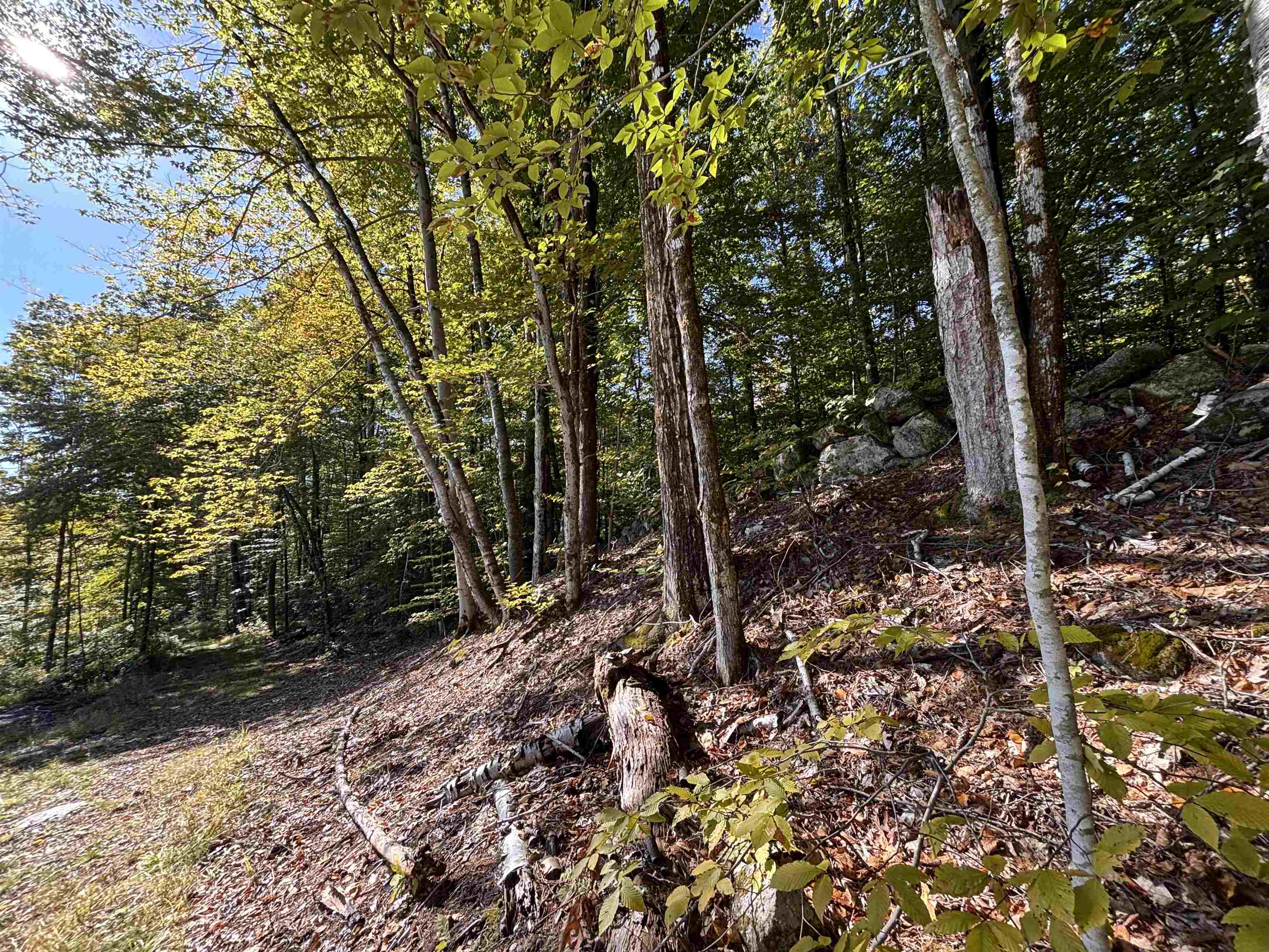 0 Cutoff Road Property Photo 7