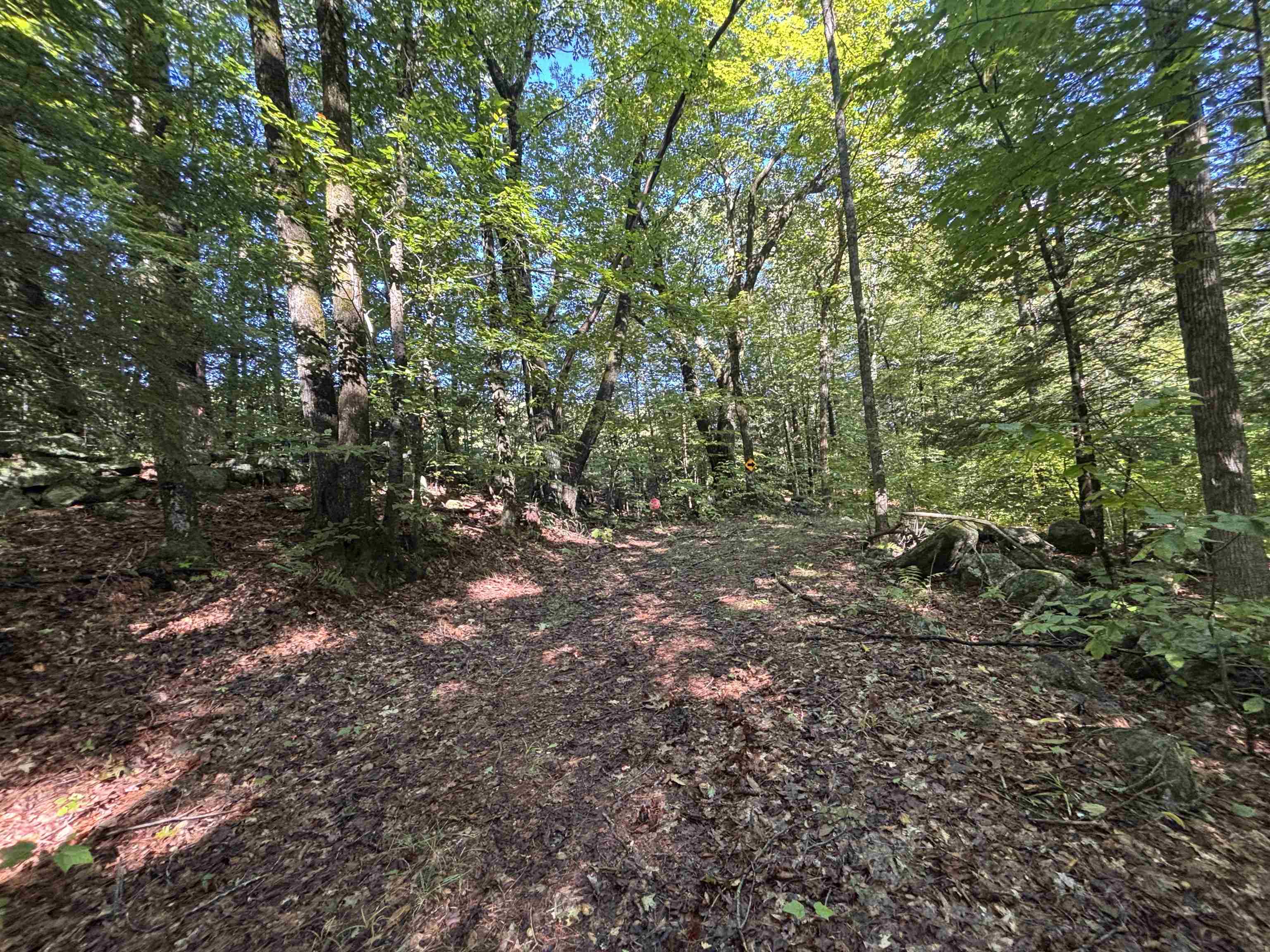 0 Cutoff Road Property Photo 8