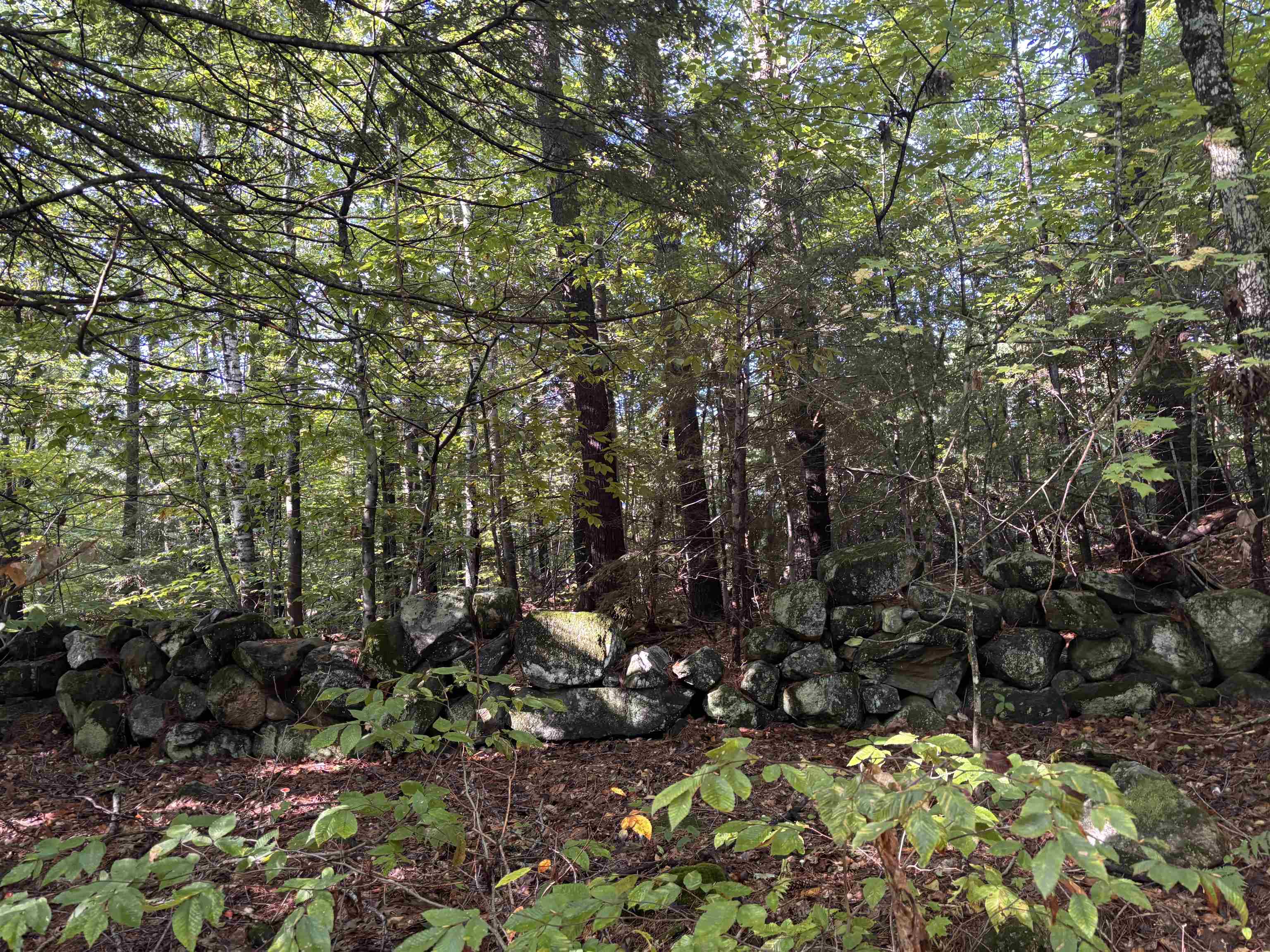0 Cutoff Road Property Photo 9
