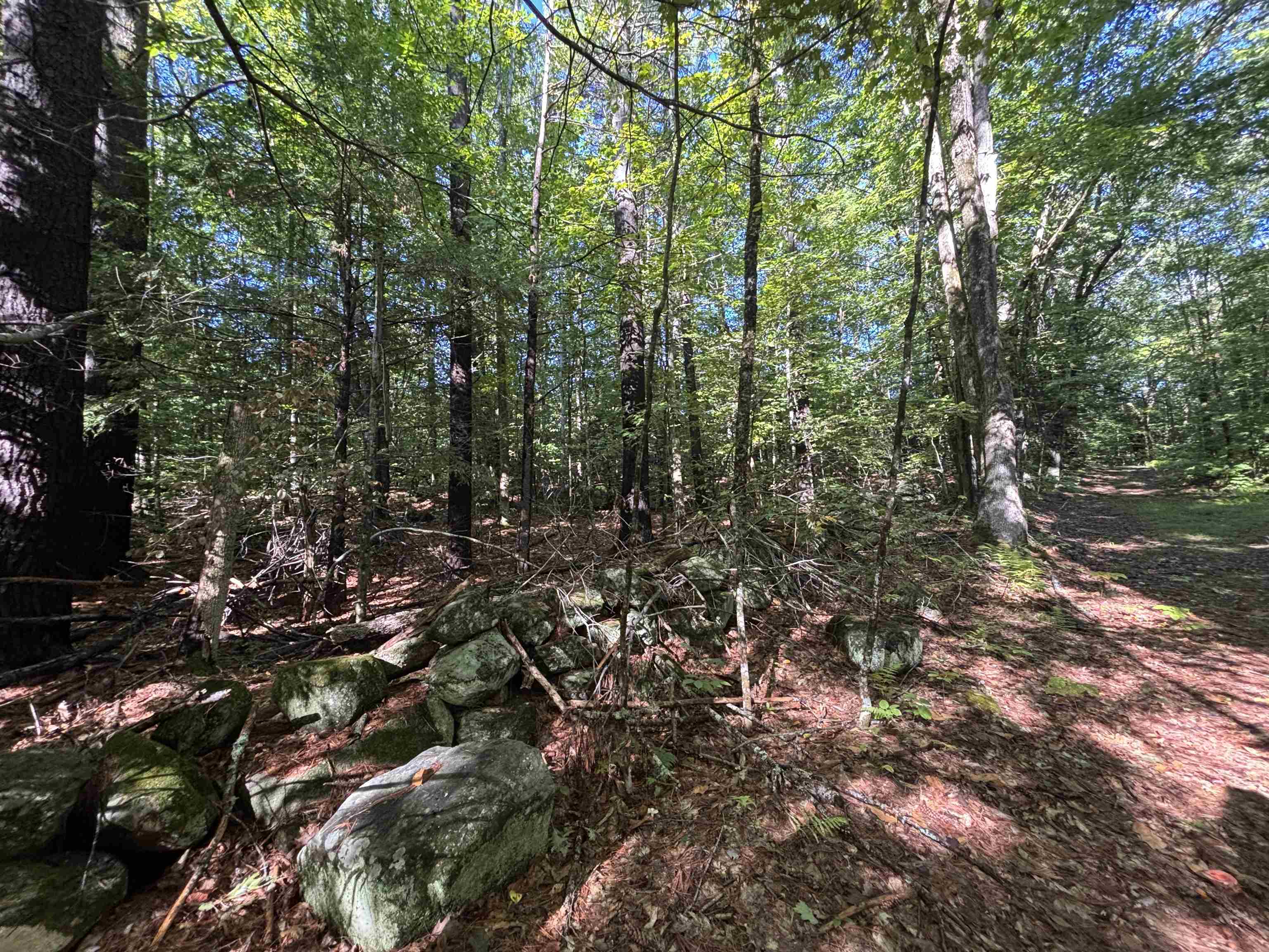0 Cutoff Road Property Photo 10