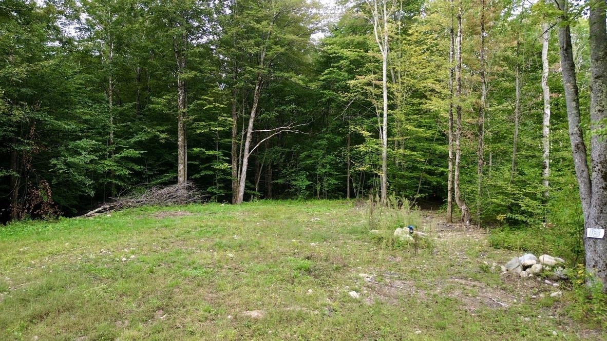 0 Pasquale Street Property Photo 1