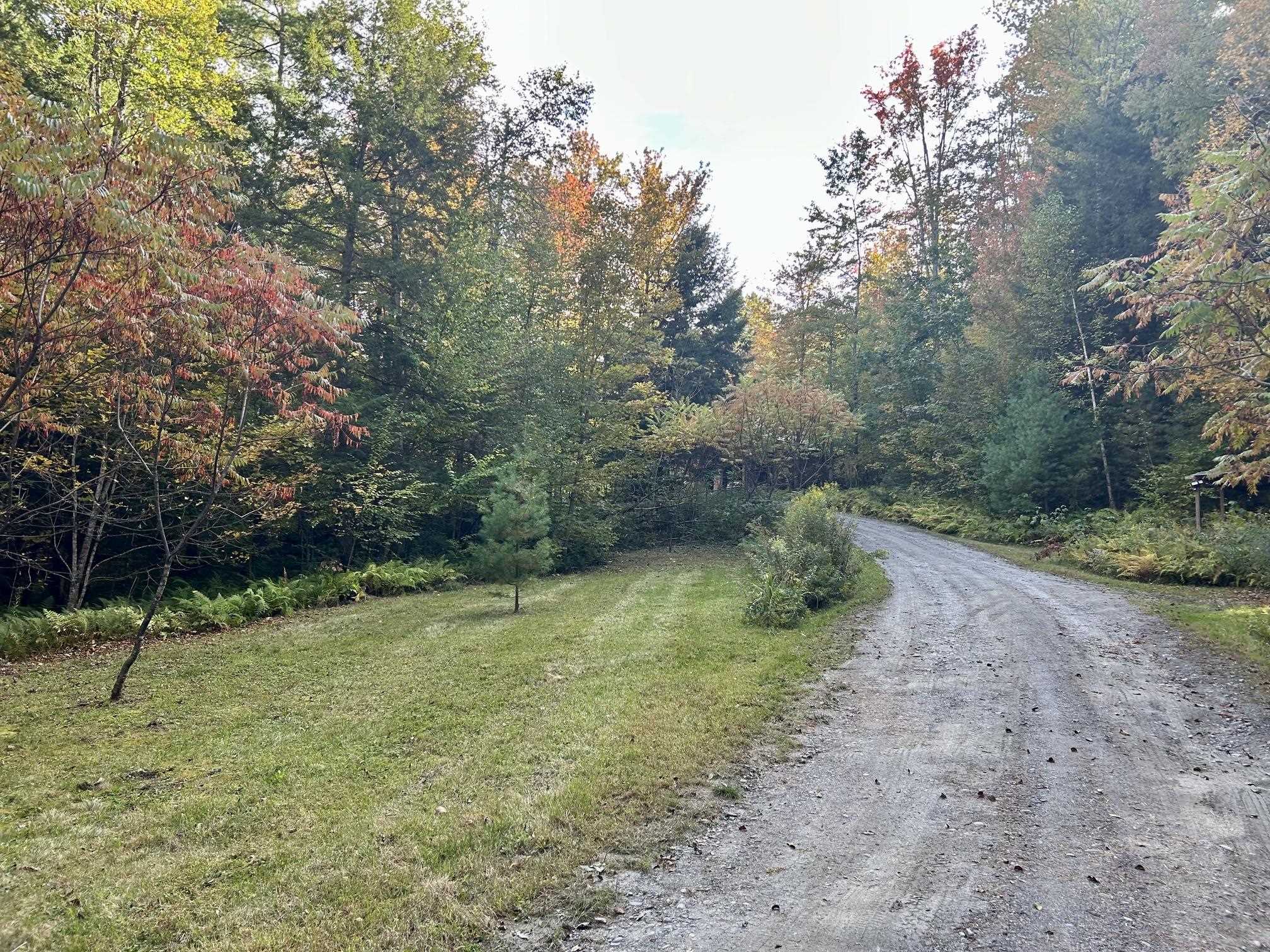 1715 Dearing Road Property Photo 31