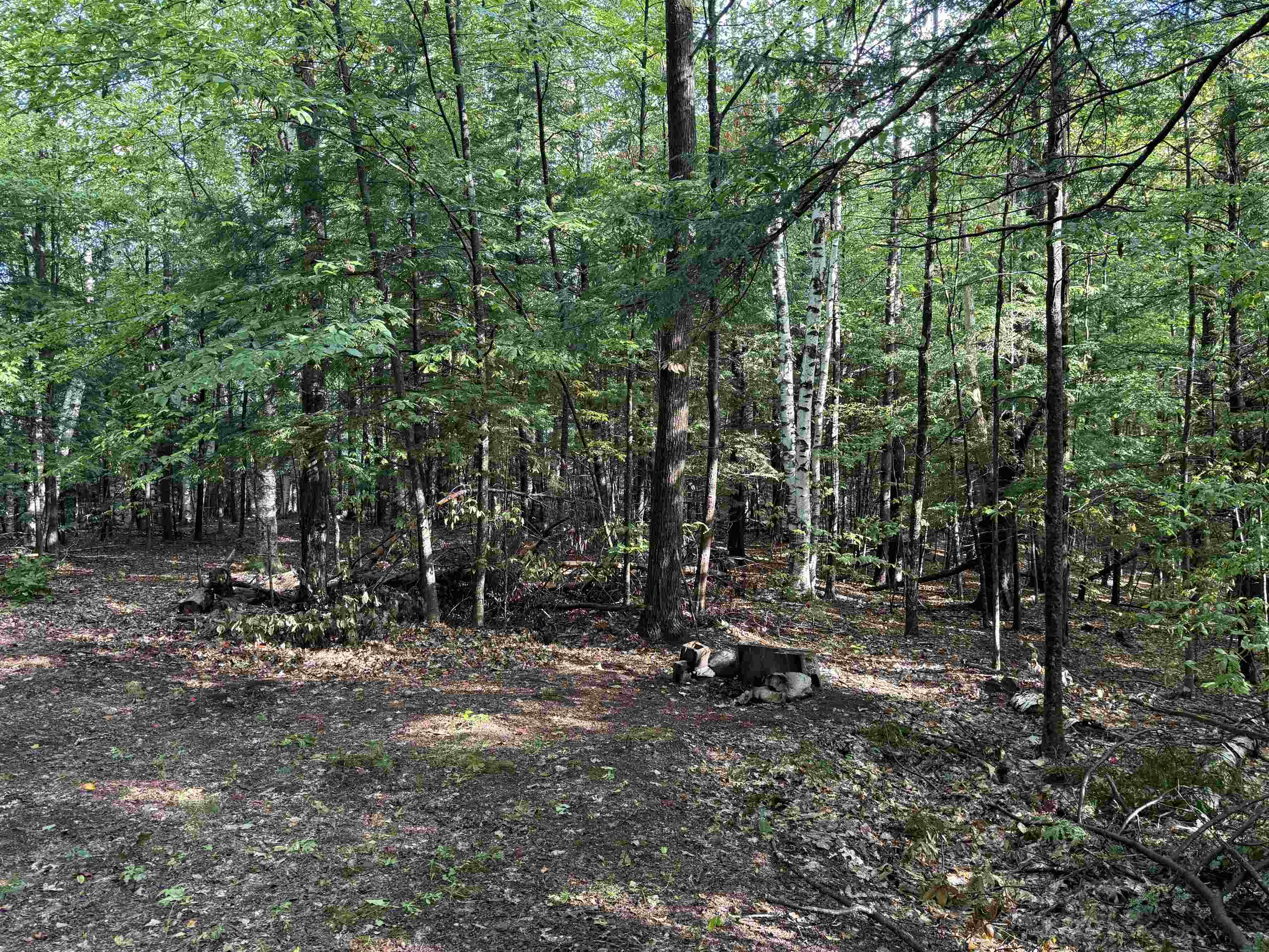 0 Old Bow Extension Property Photo 12