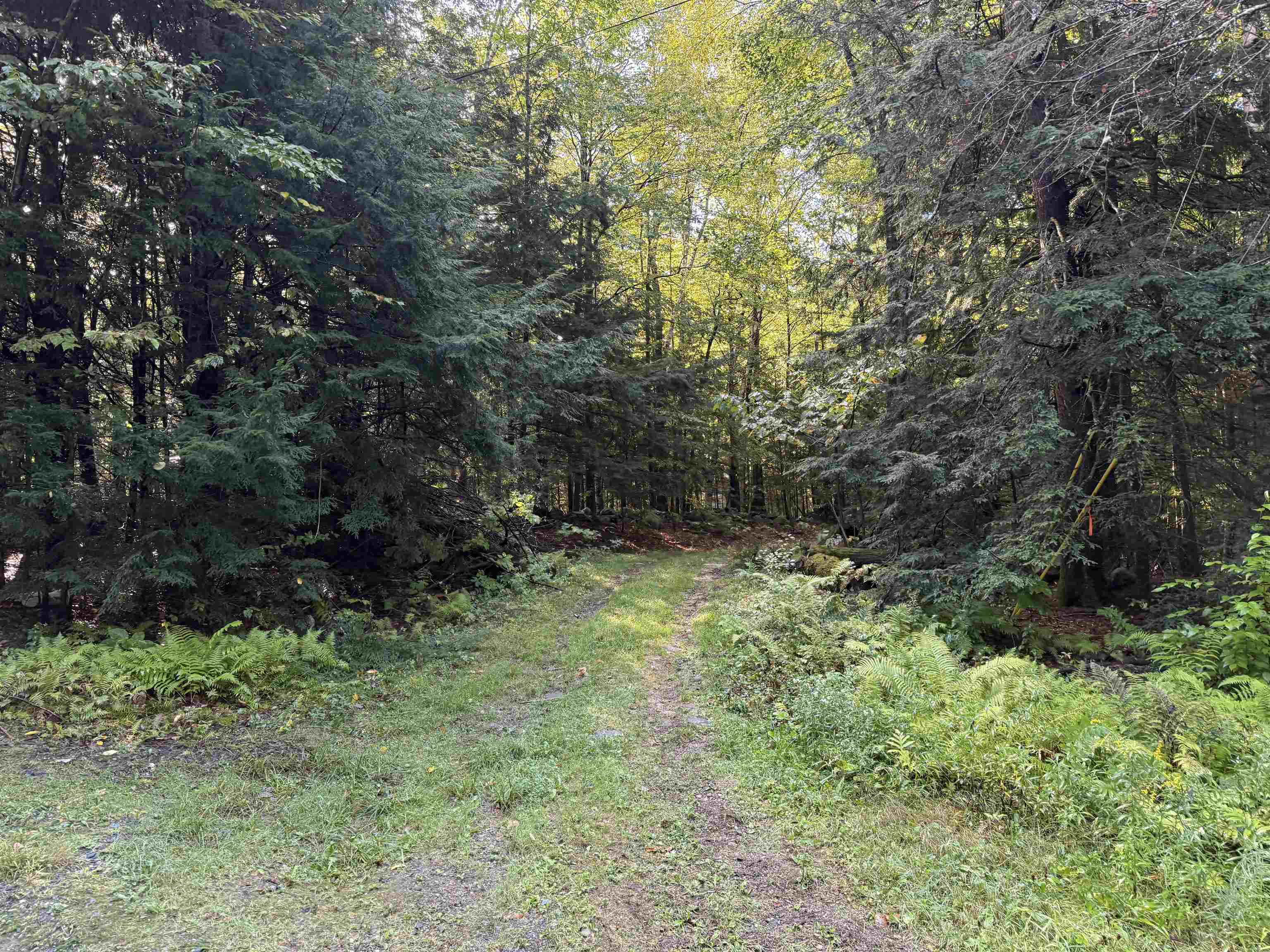 0 Old Bow Extension Property Photo 32