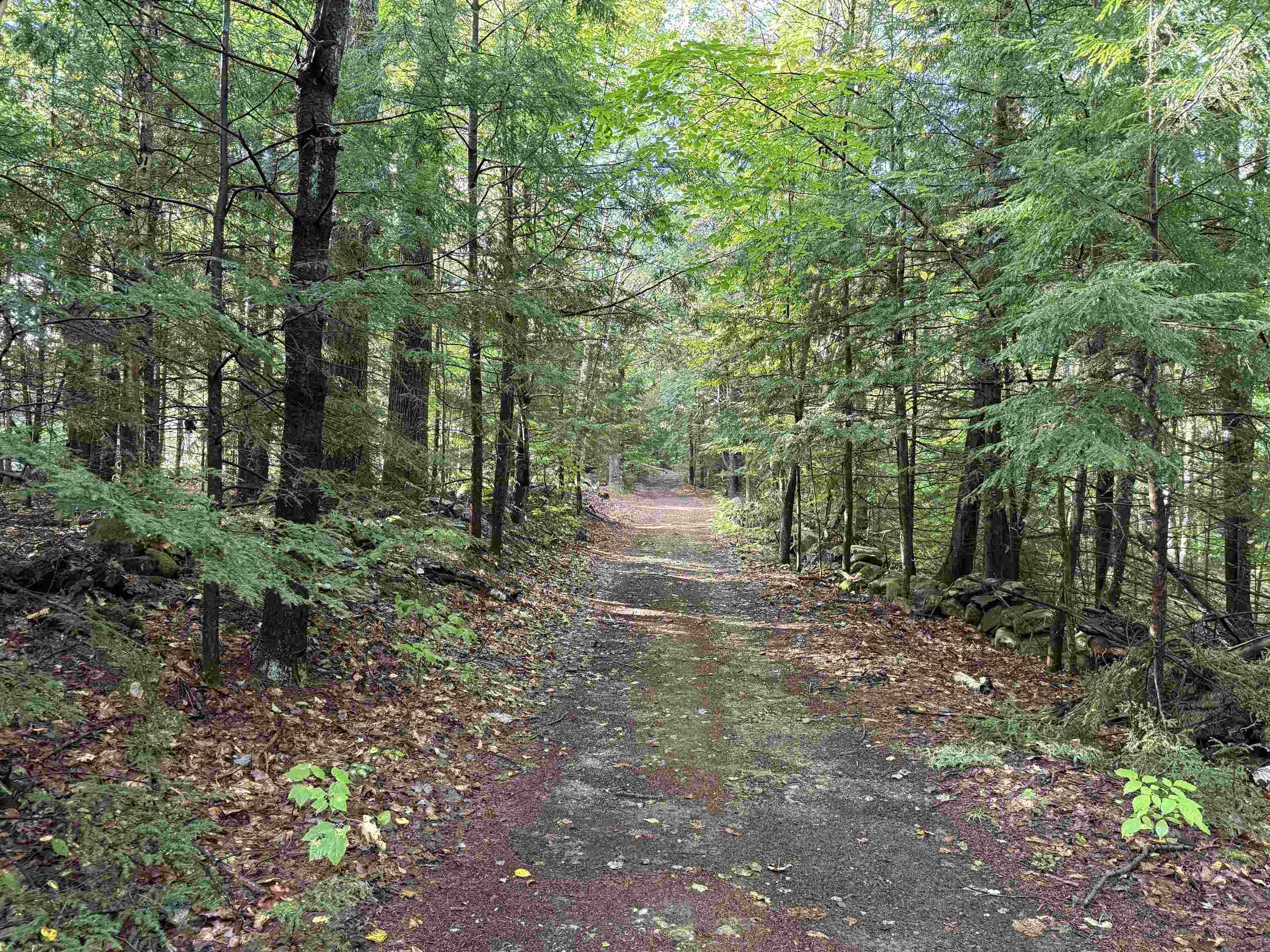 0 Old Bow Extension Property Photo 33