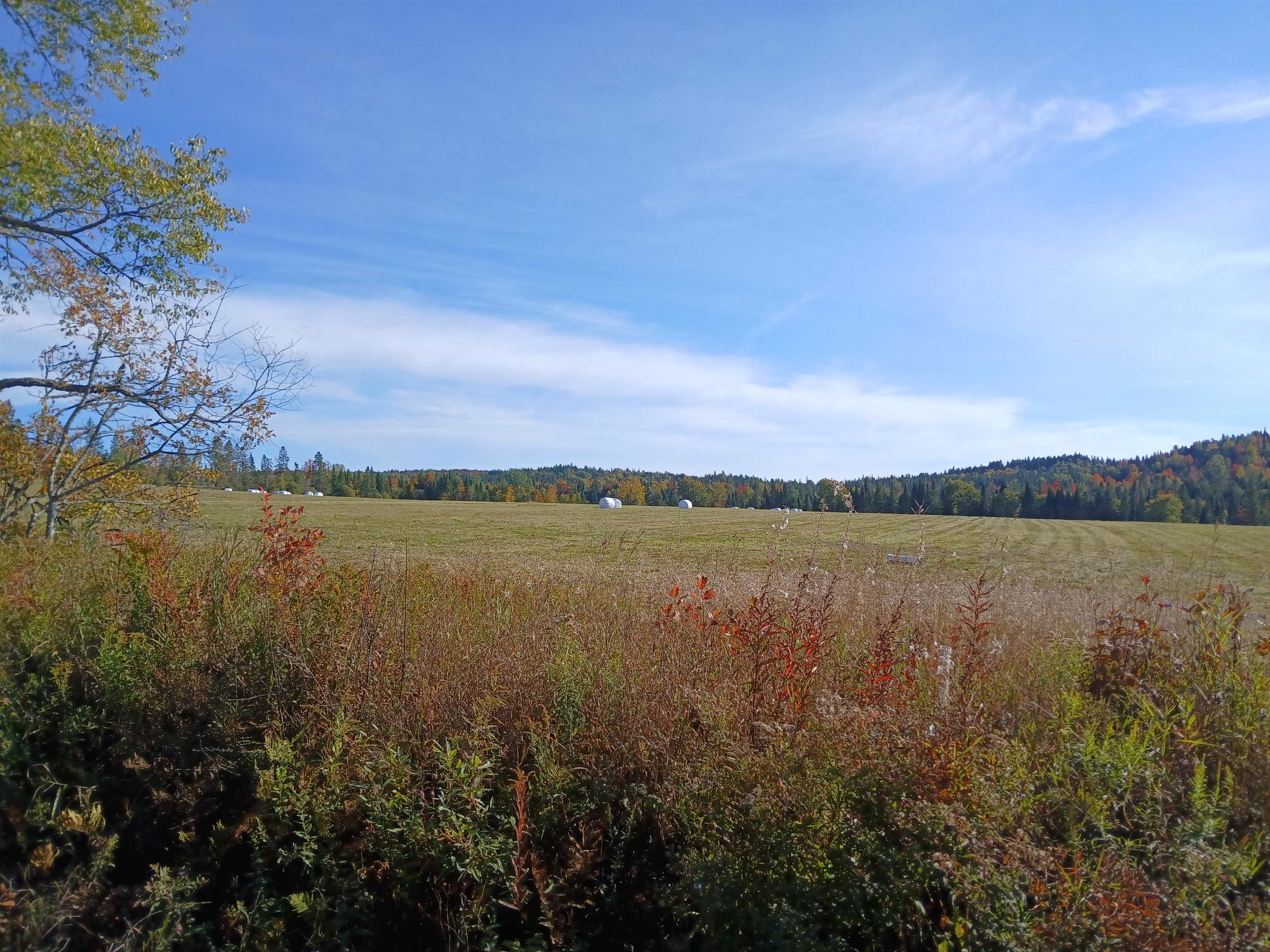 Lot 2 Creampoke Road Property Photo 1