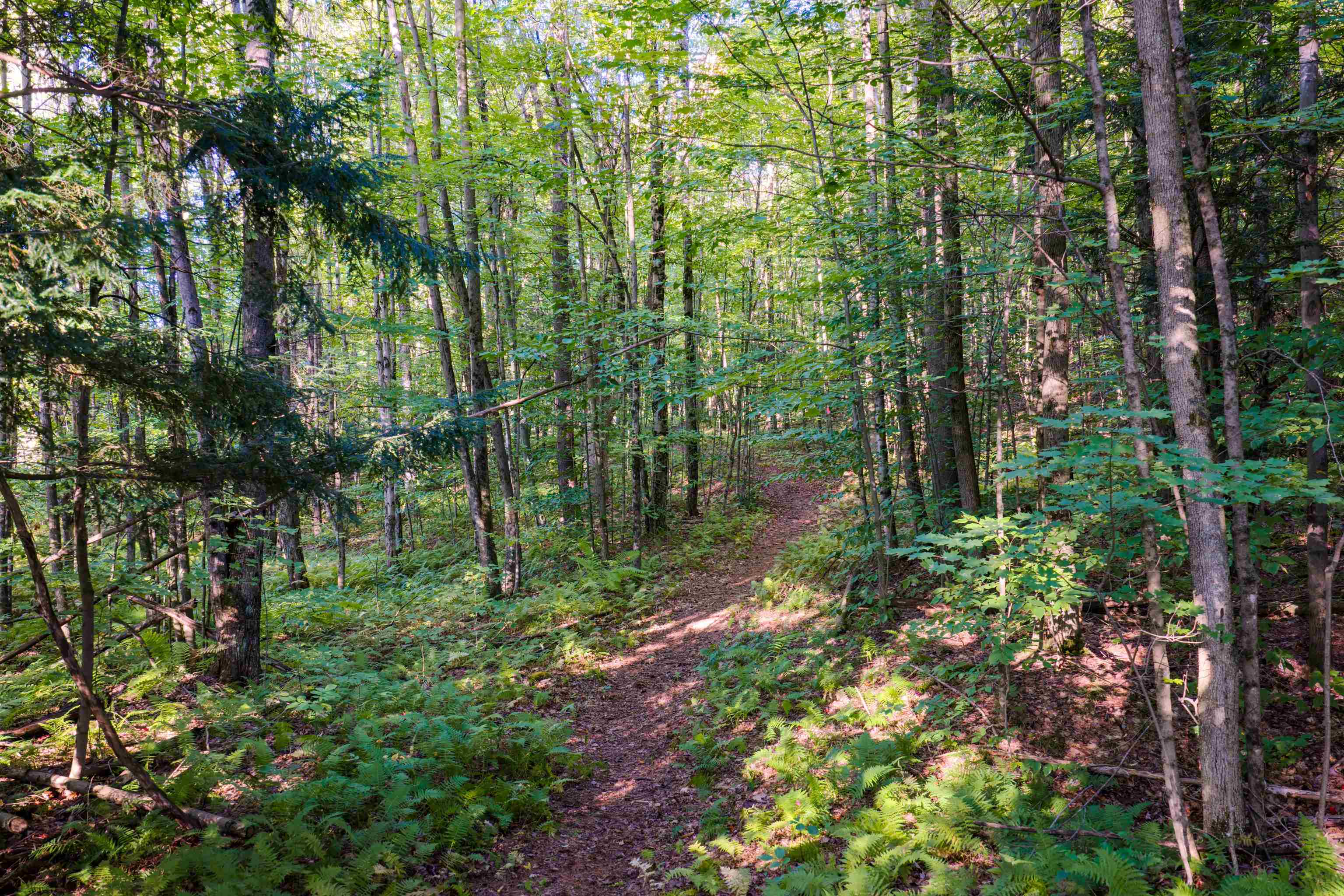 Lot 8 Apple Tree Road Property Photo 9