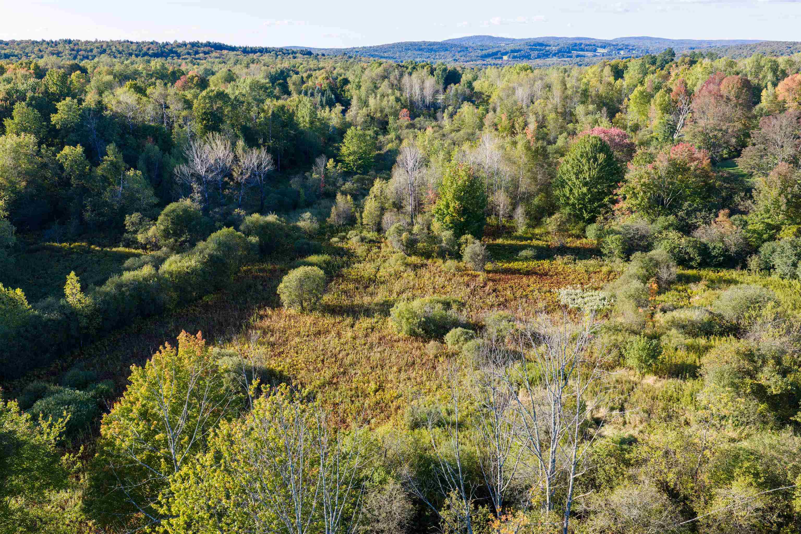 Lot 8 Apple Tree Road Property Photo 14