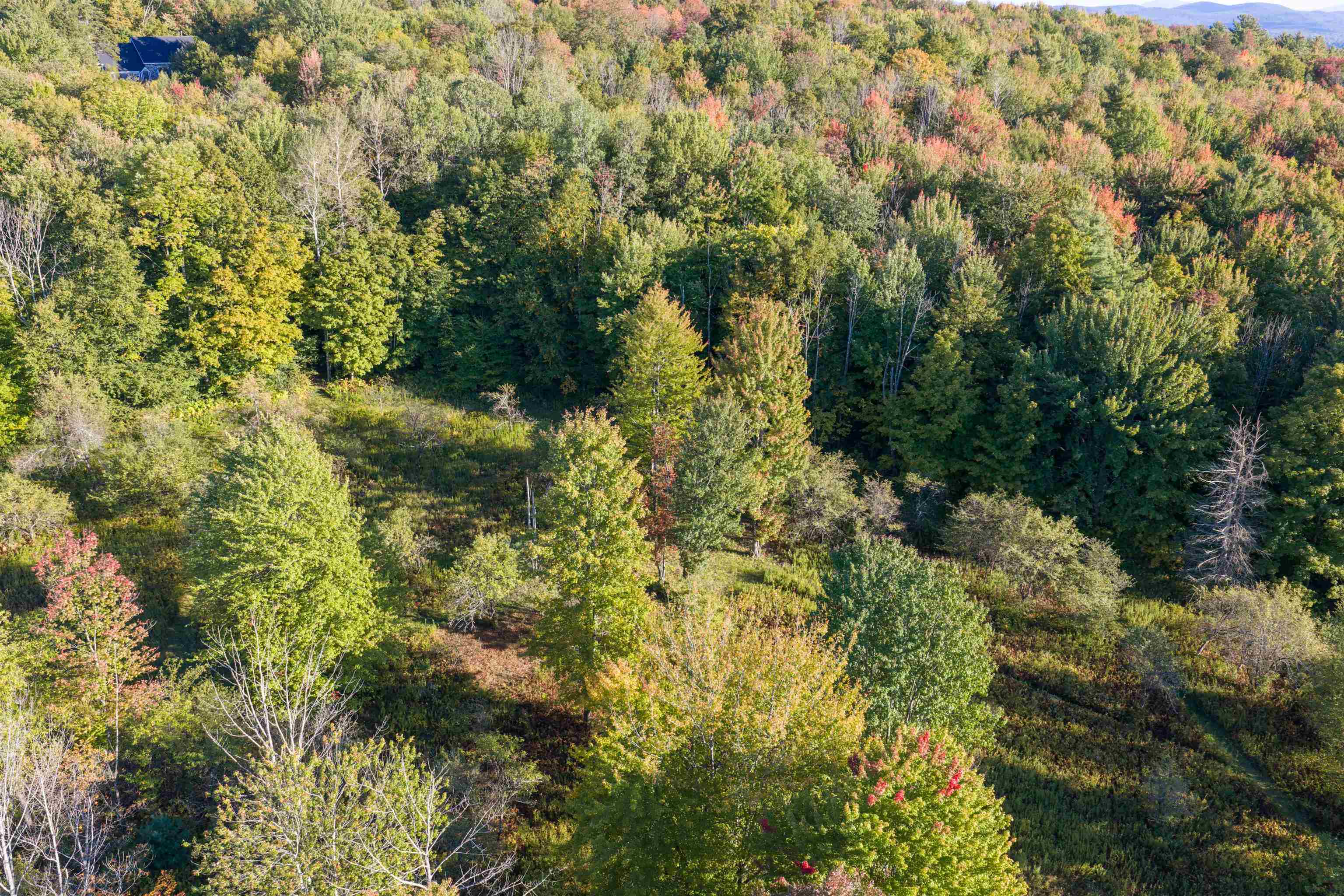 Lot 8 Apple Tree Road Property Photo 16