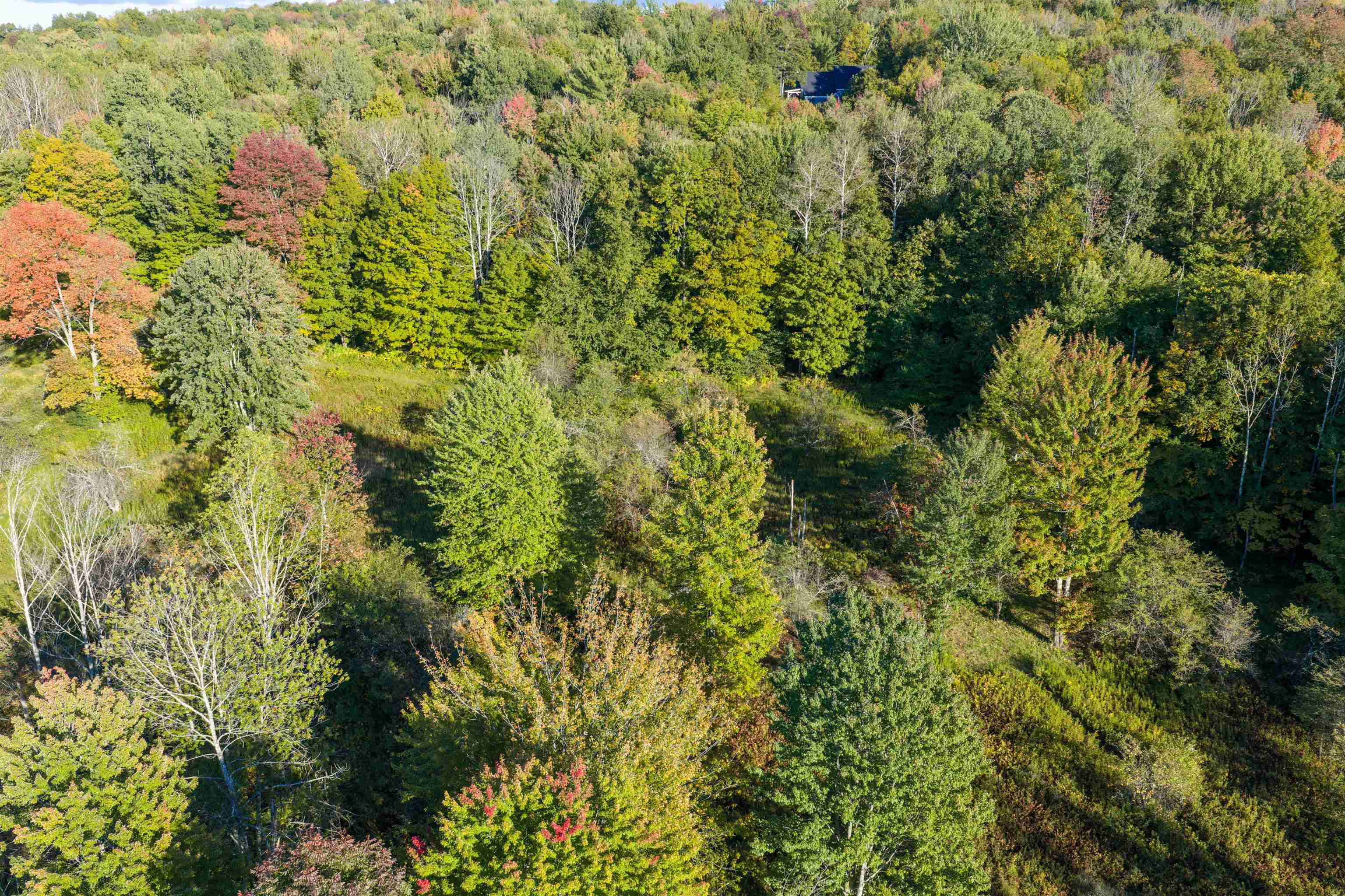 Lot 8 Apple Tree Road Property Photo 17