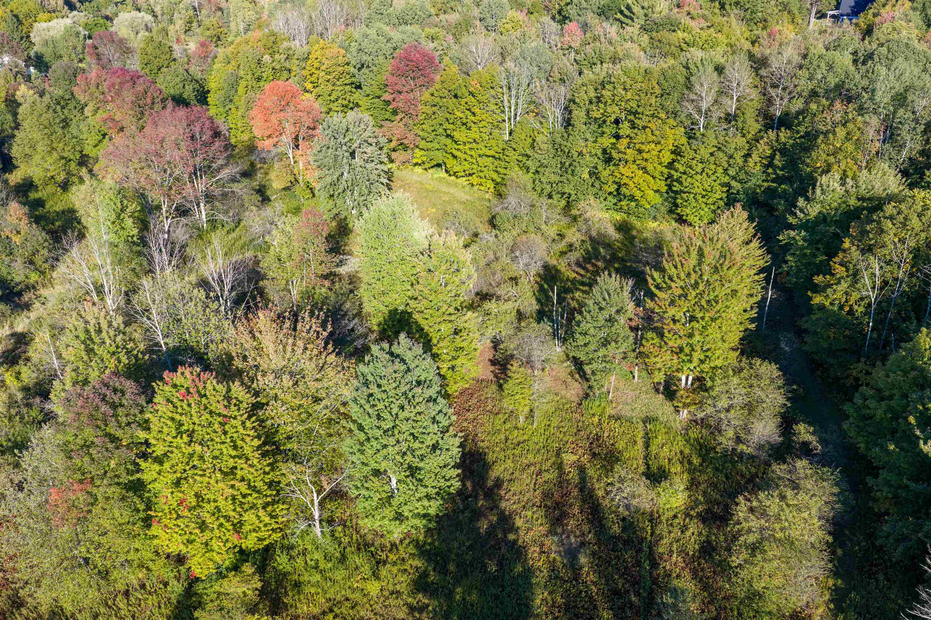 Lot 8 Apple Tree Road Property Photo 18
