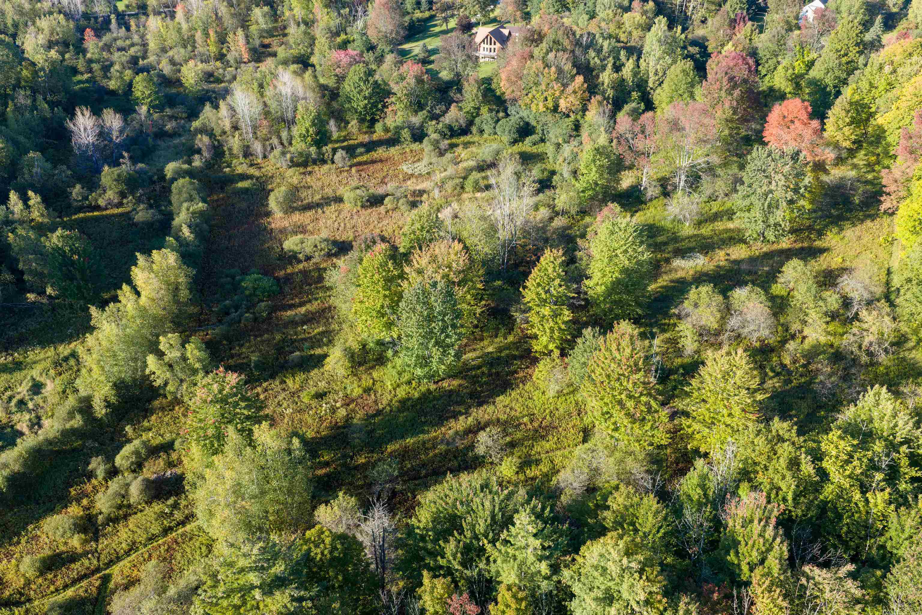Lot 8 Apple Tree Road Property Photo 19