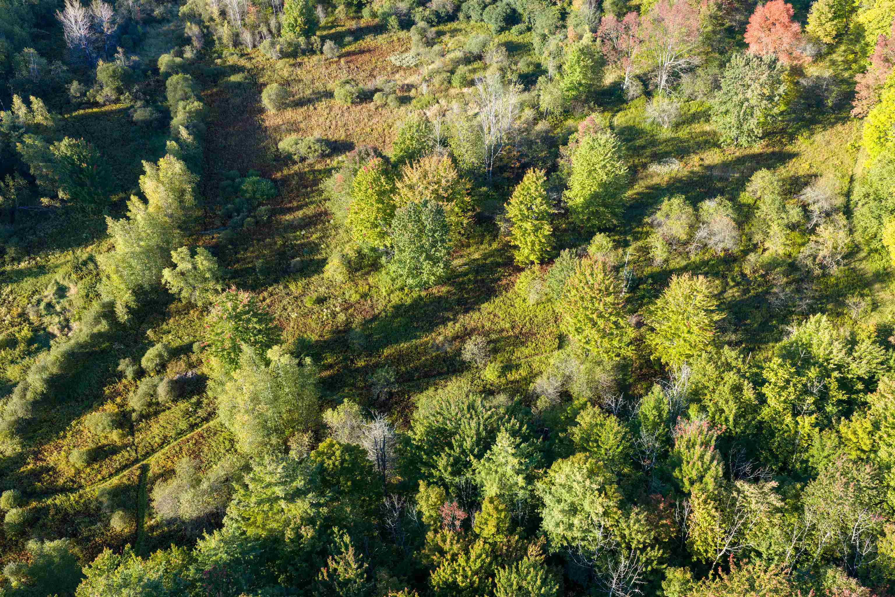 Lot 8 Apple Tree Road Property Photo 20