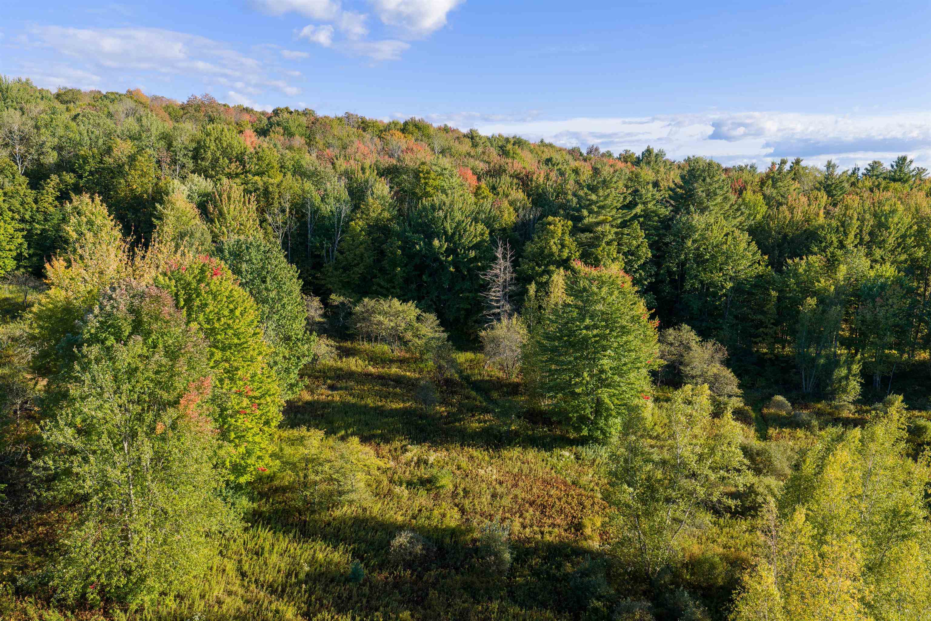 Lot 8 Apple Tree Road Property Photo 21