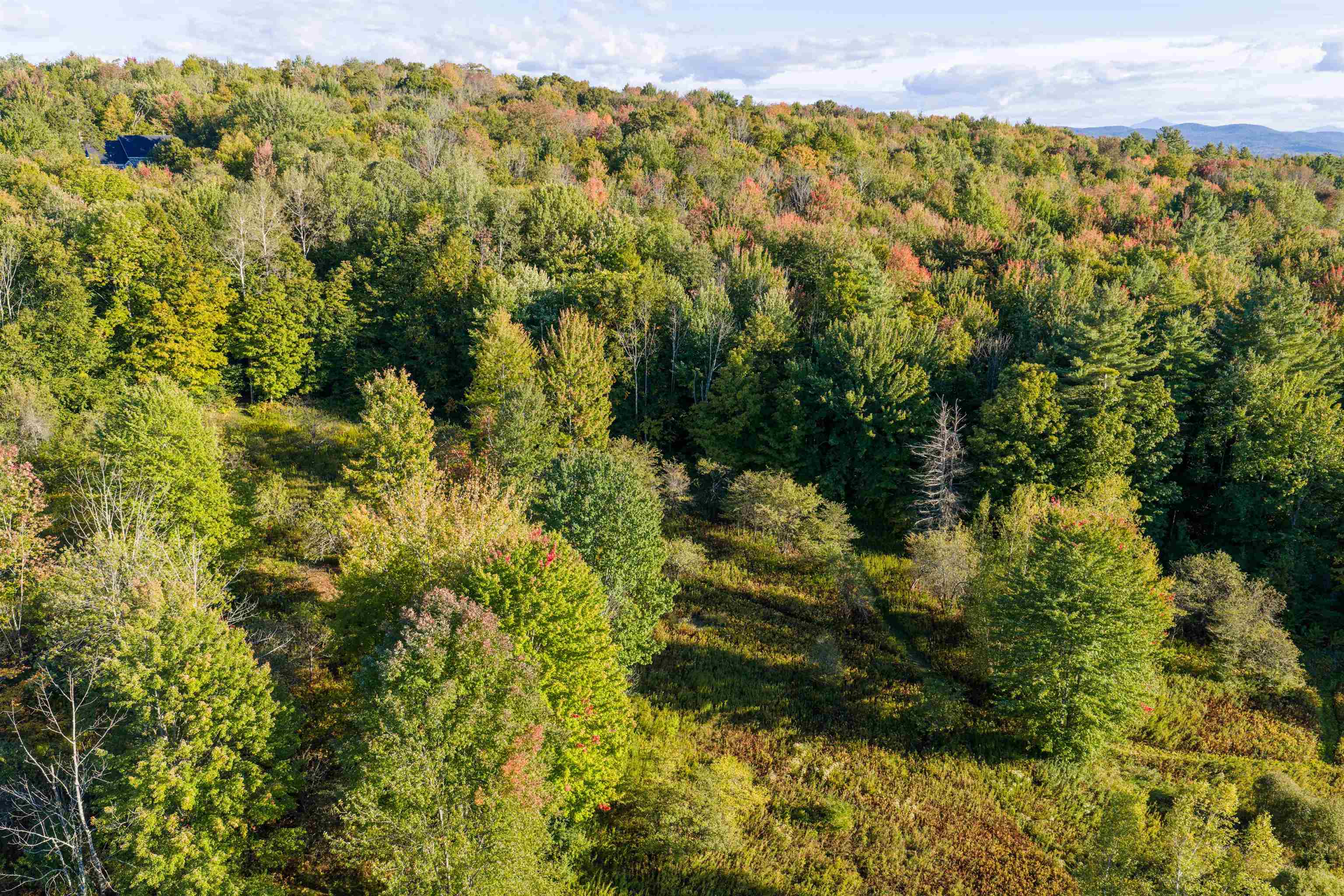 Lot 8 Apple Tree Road Property Photo 22