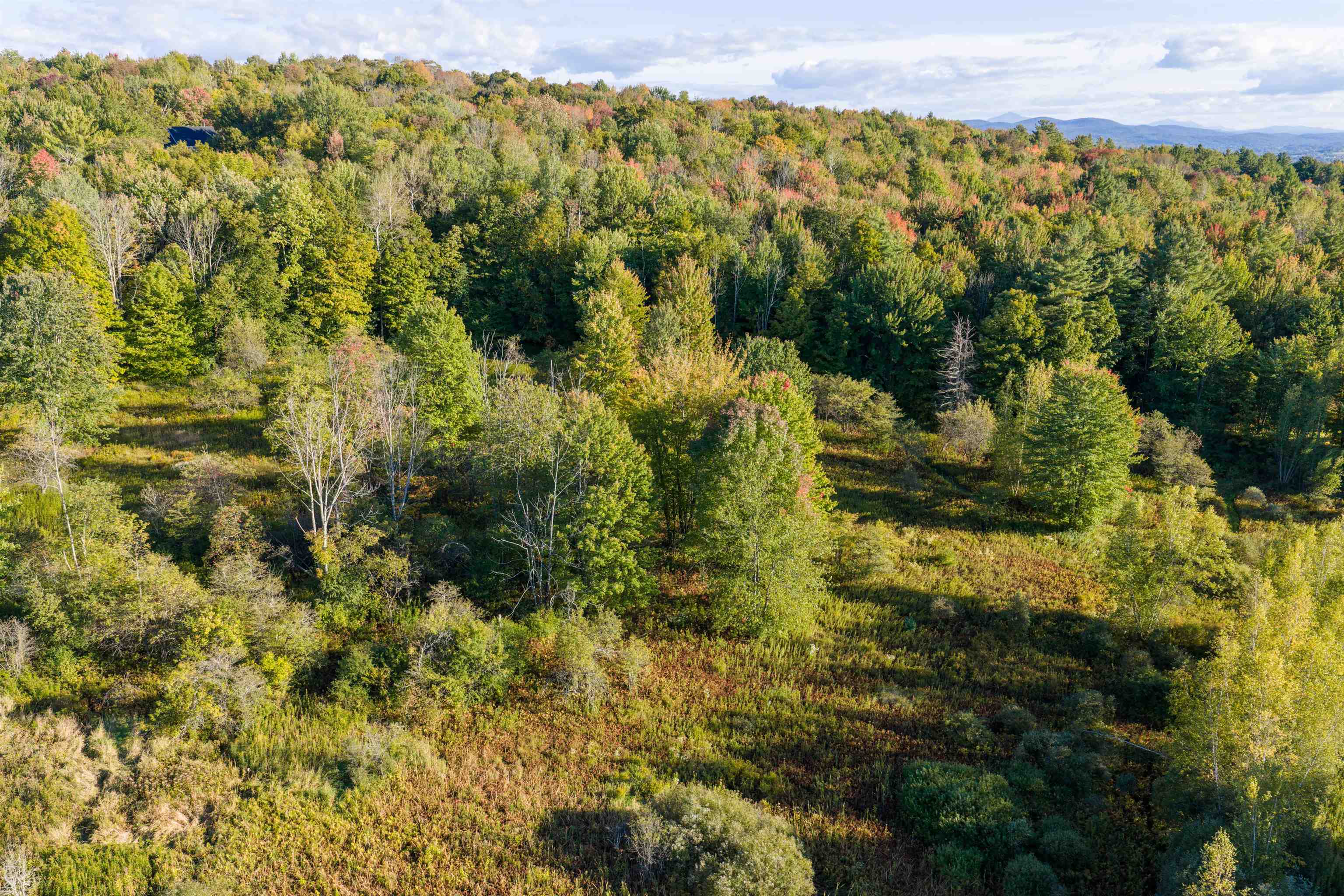 Lot 8 Apple Tree Road Property Photo 23