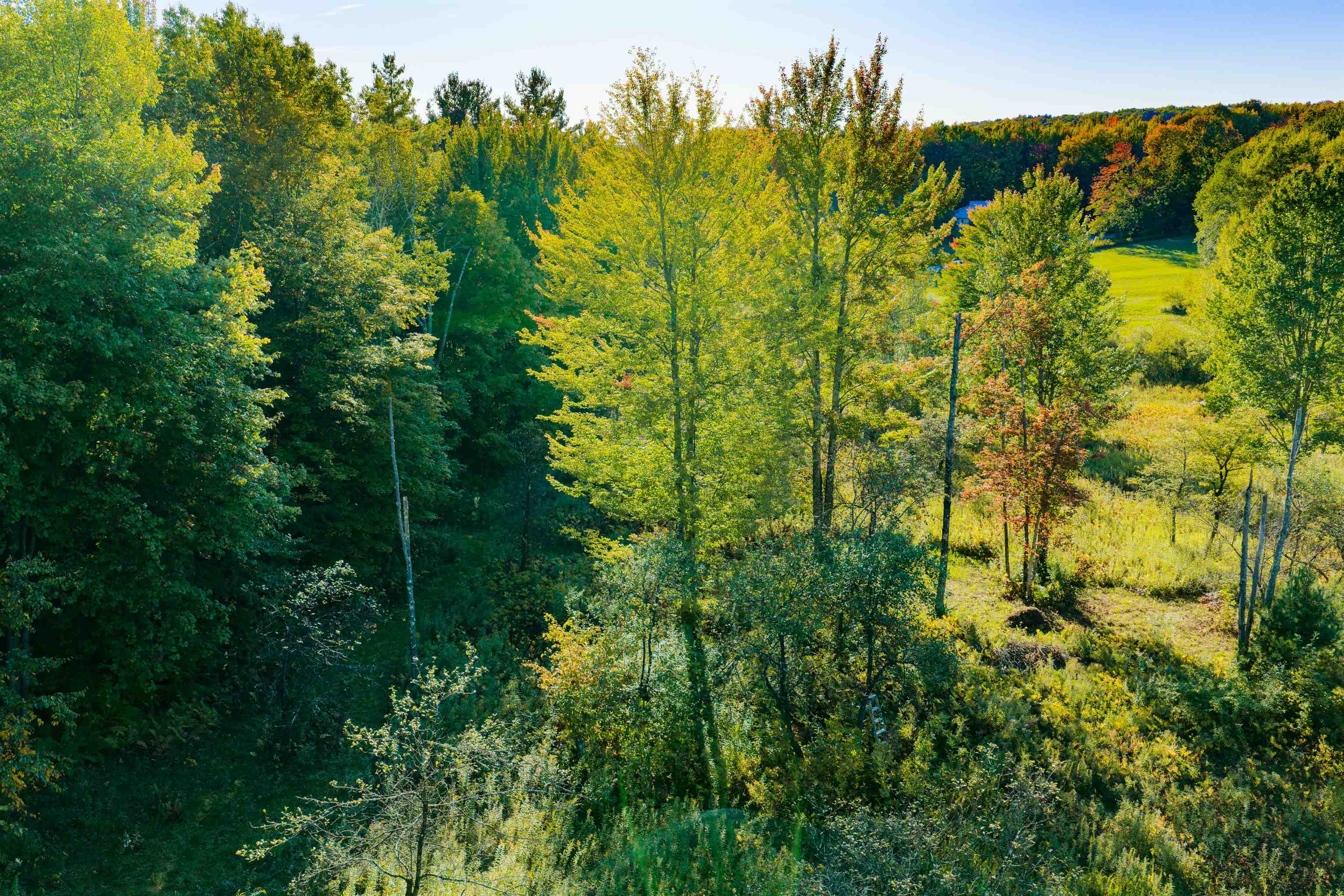 Lot 8 Apple Tree Road Property Photo 25