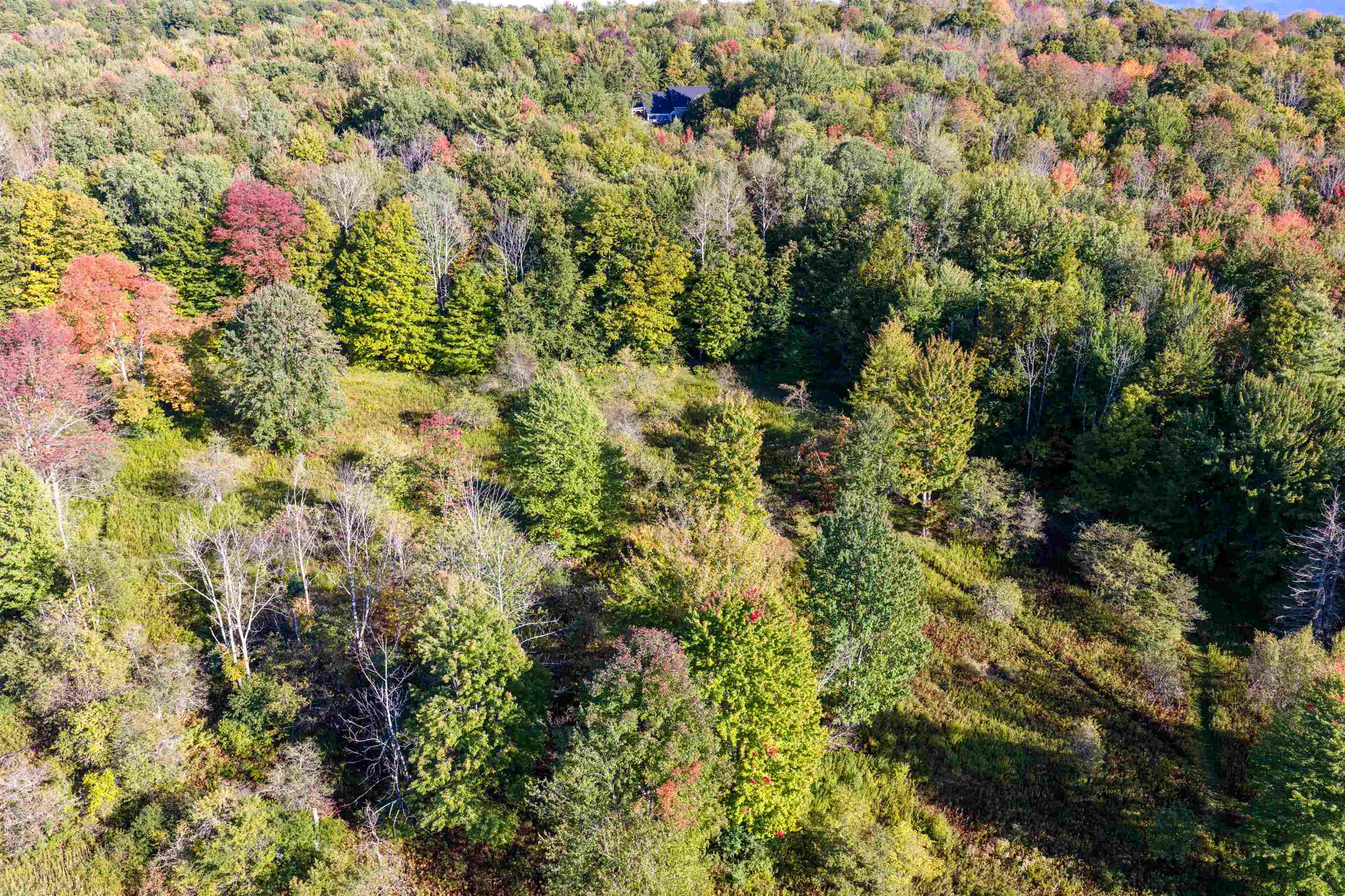 Lot 8 Apple Tree Road Property Photo 26