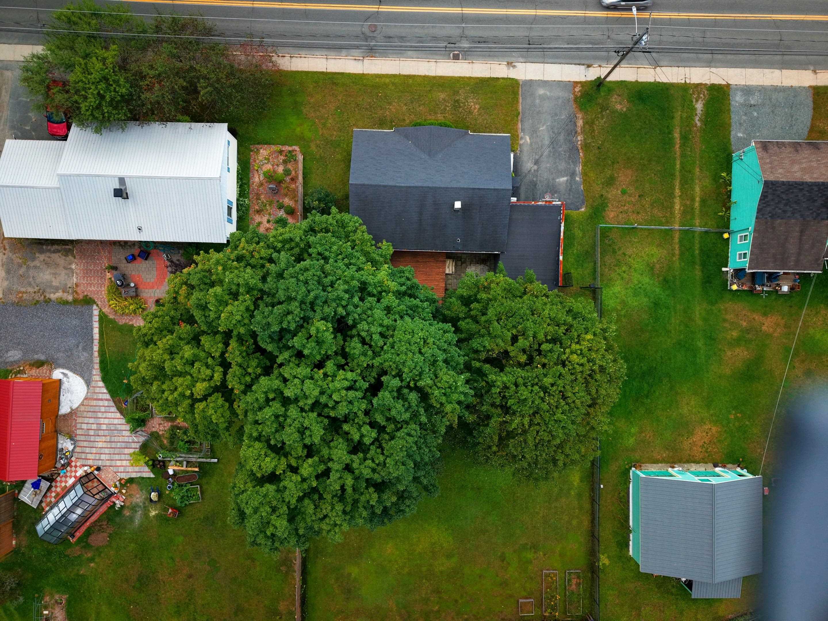 411 Concord Avenue Property Photo 9