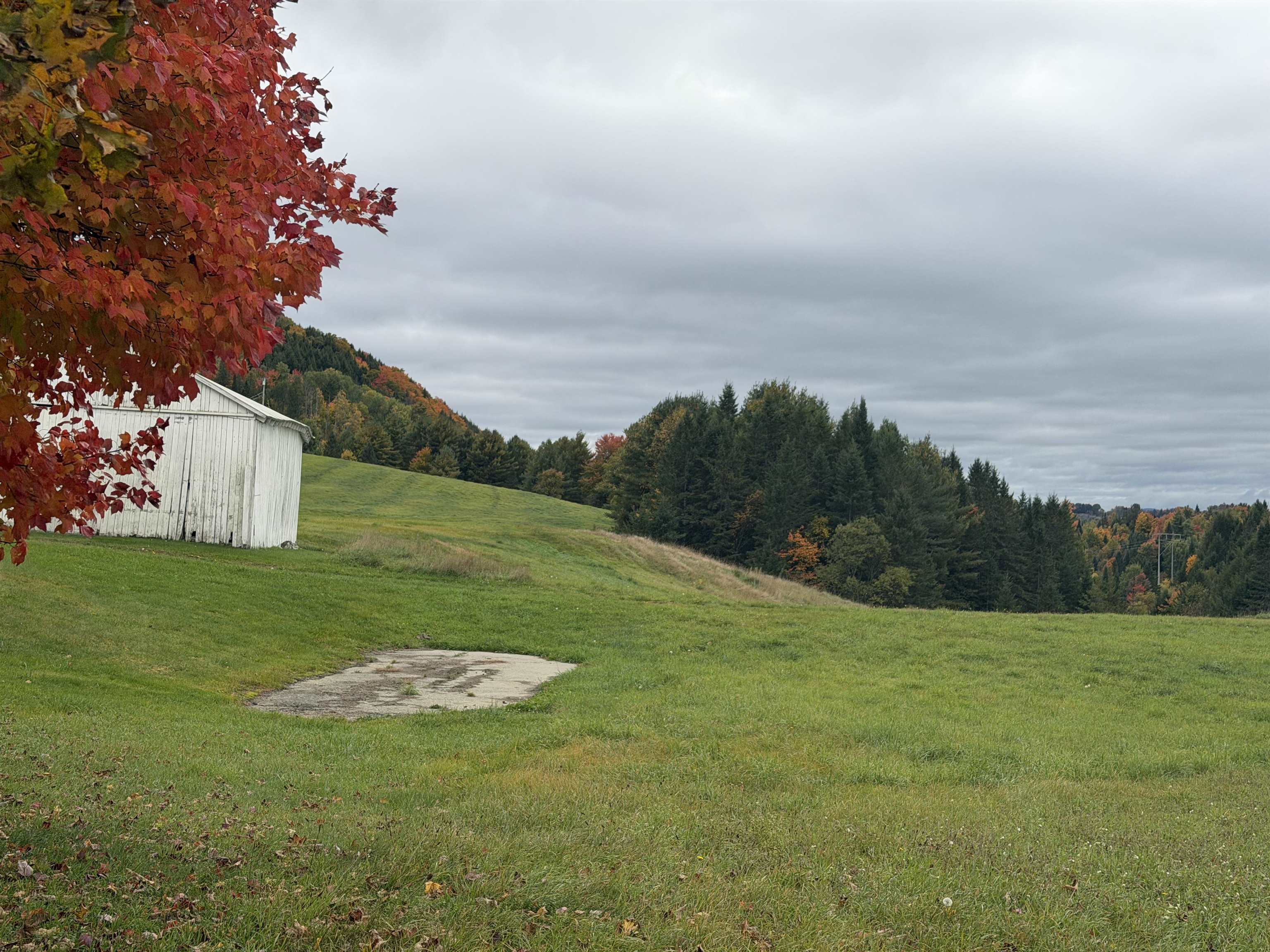 00 Lily Pond Road Property Photo 2