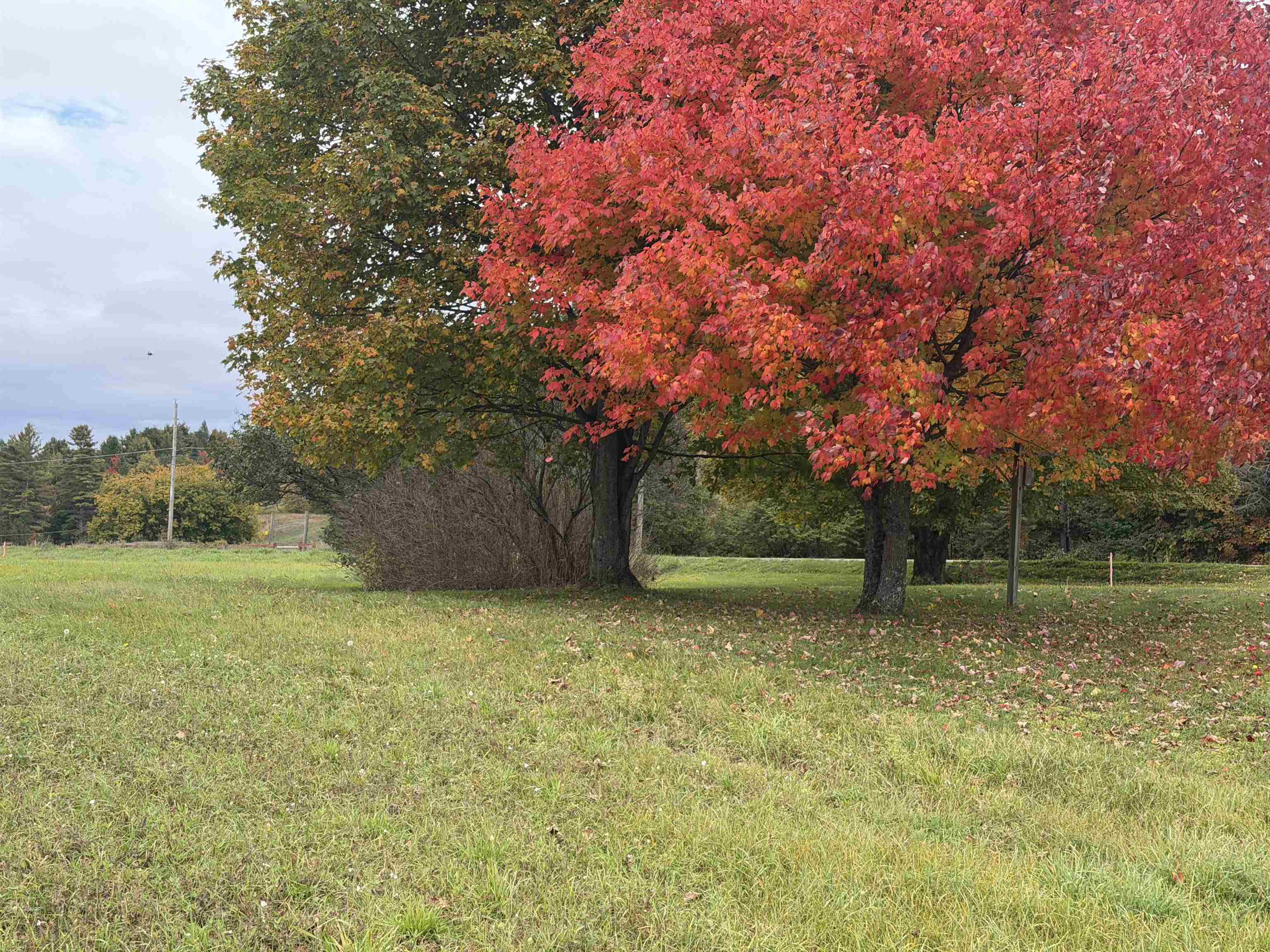 00 Lily Pond Road Property Photo 3