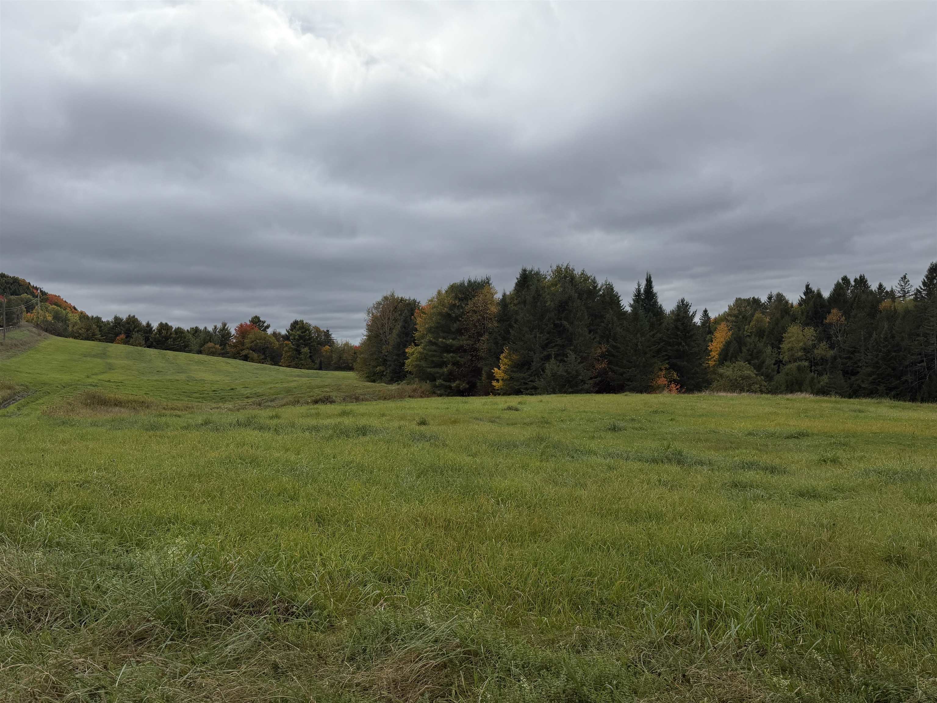 00 Lily Pond Road Property Photo 6
