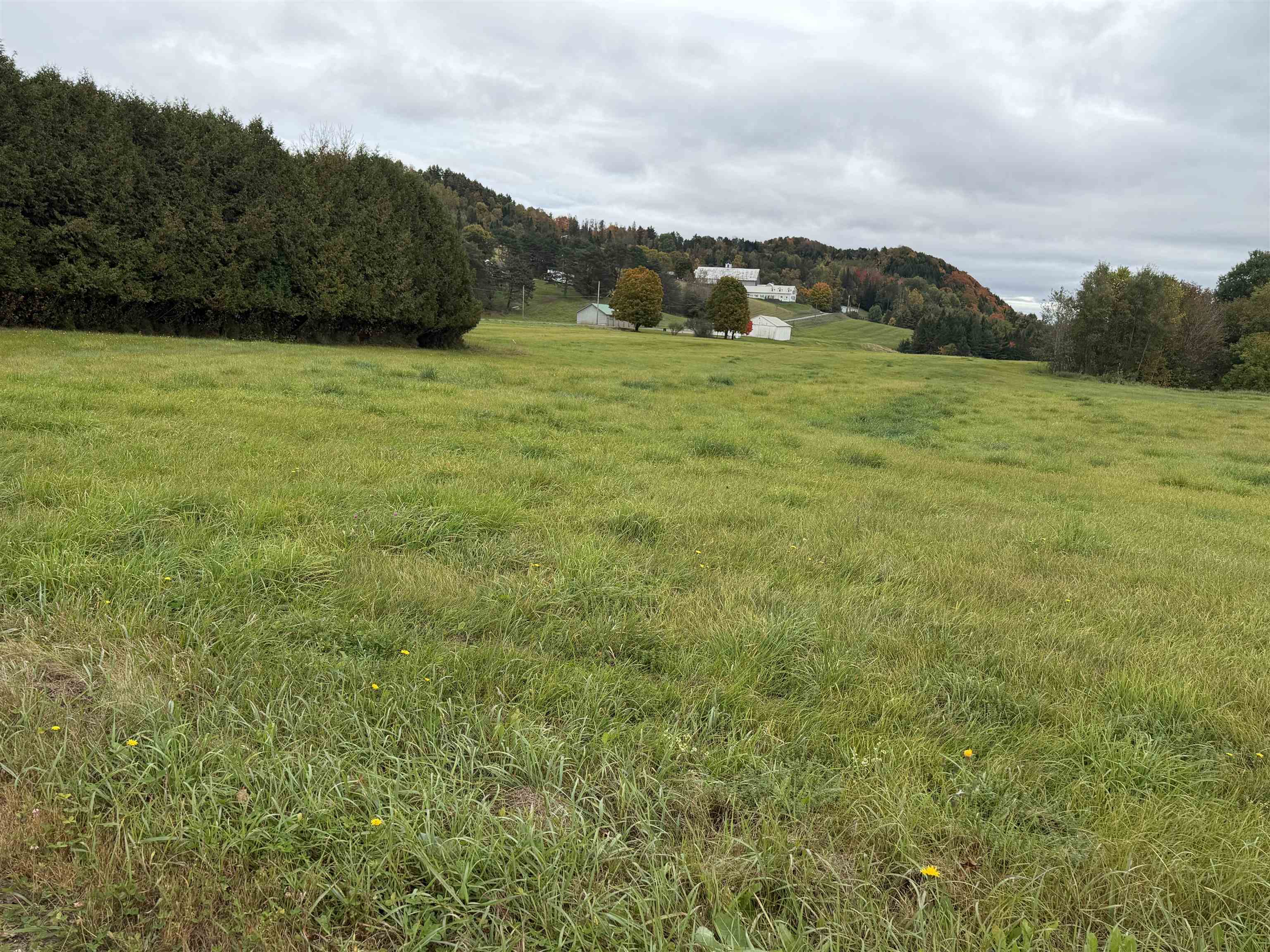 00 Lily Pond Road Property Photo 10