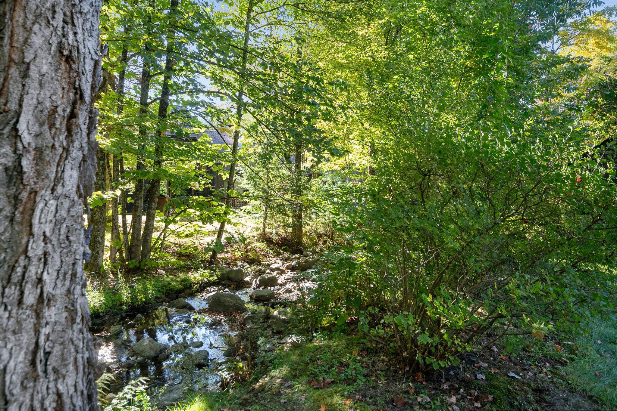 4649 Battleground Road Property Photo 43