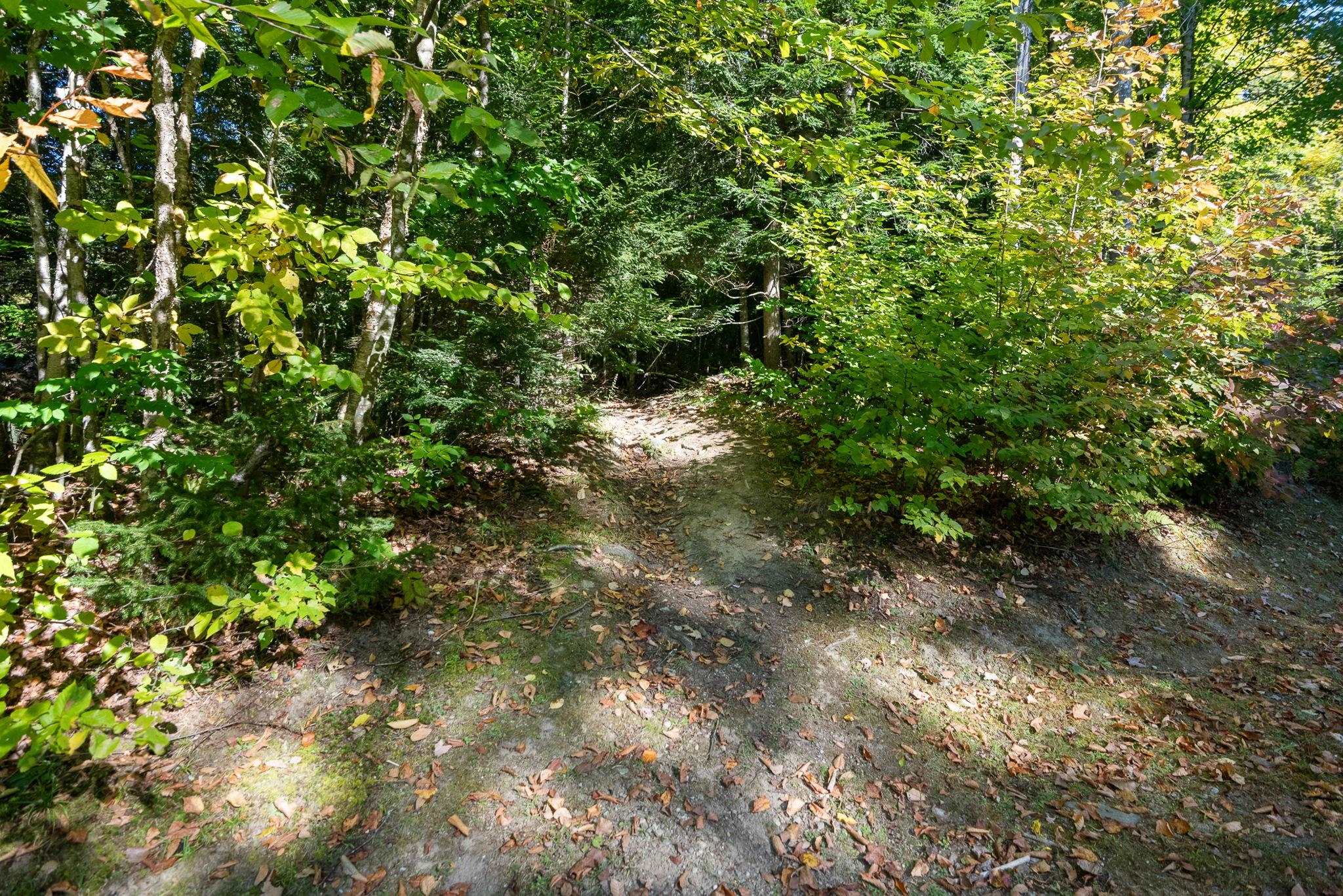 4649 Battleground Road Property Photo 44