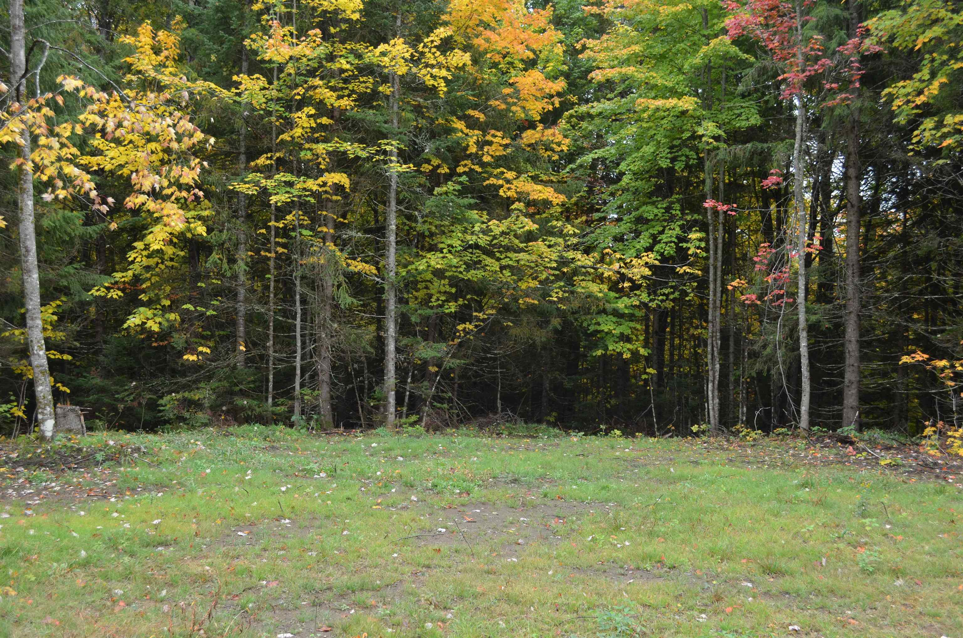 205 Deer Ridge Road Property Photo 19