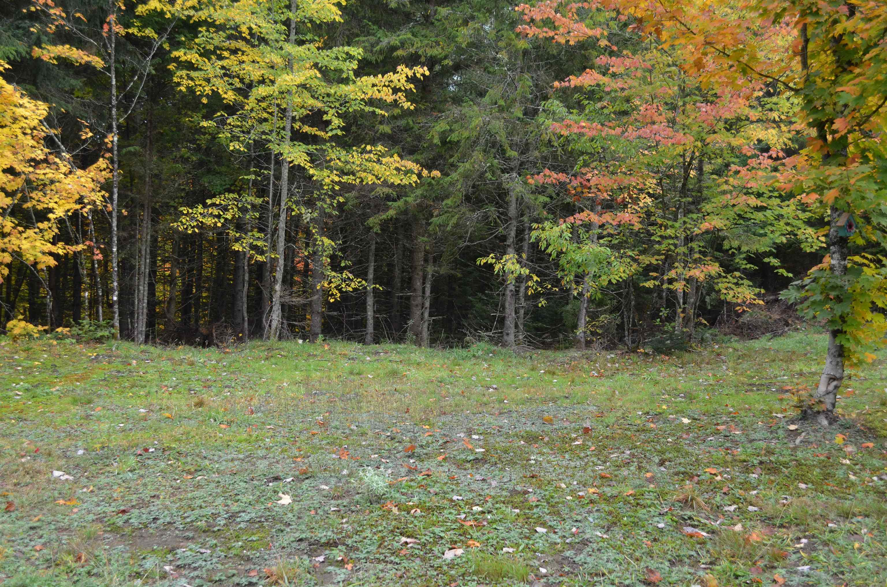 205 Deer Ridge Road Property Photo 20