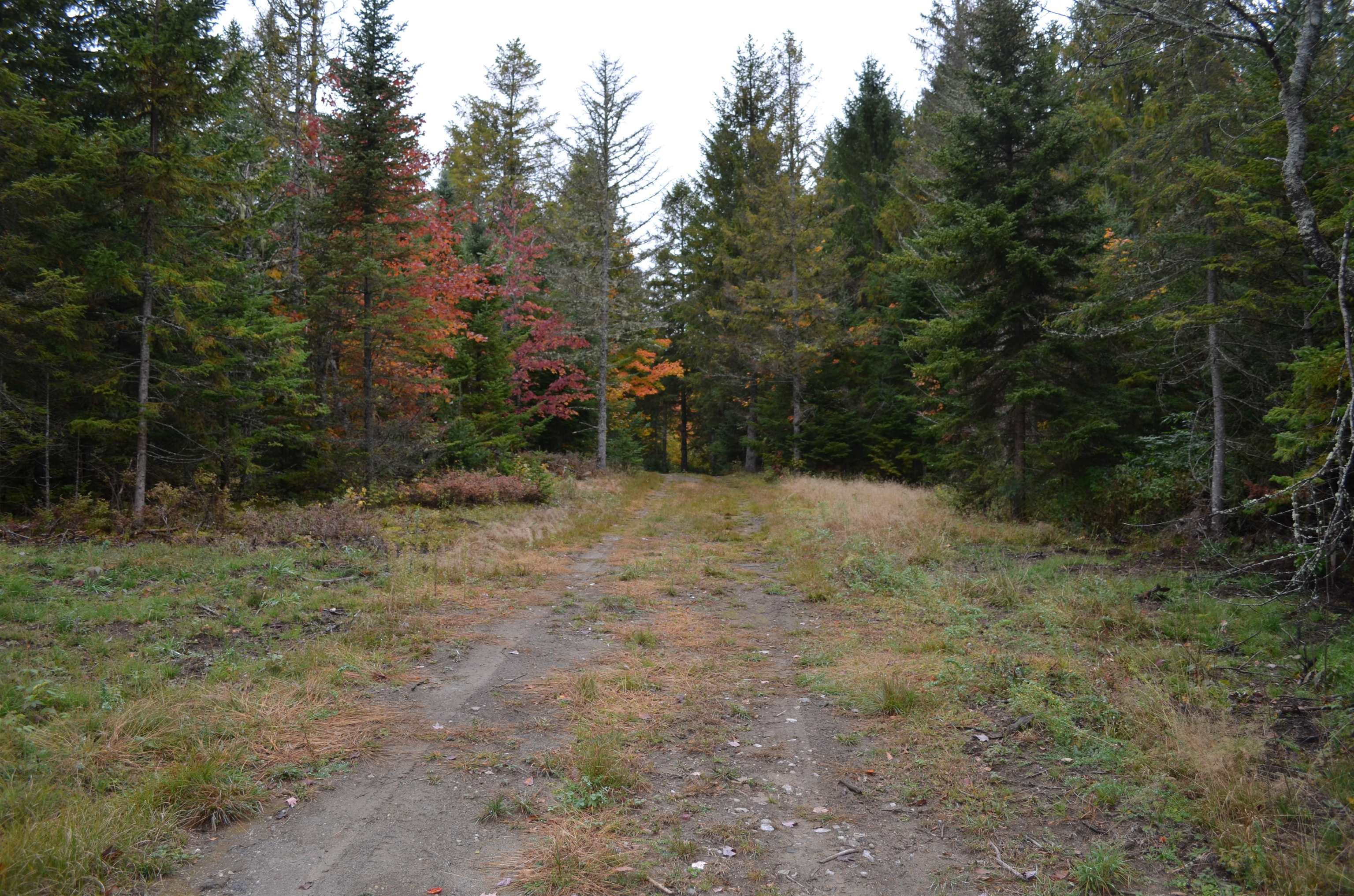205 Deer Ridge Road Property Photo 25