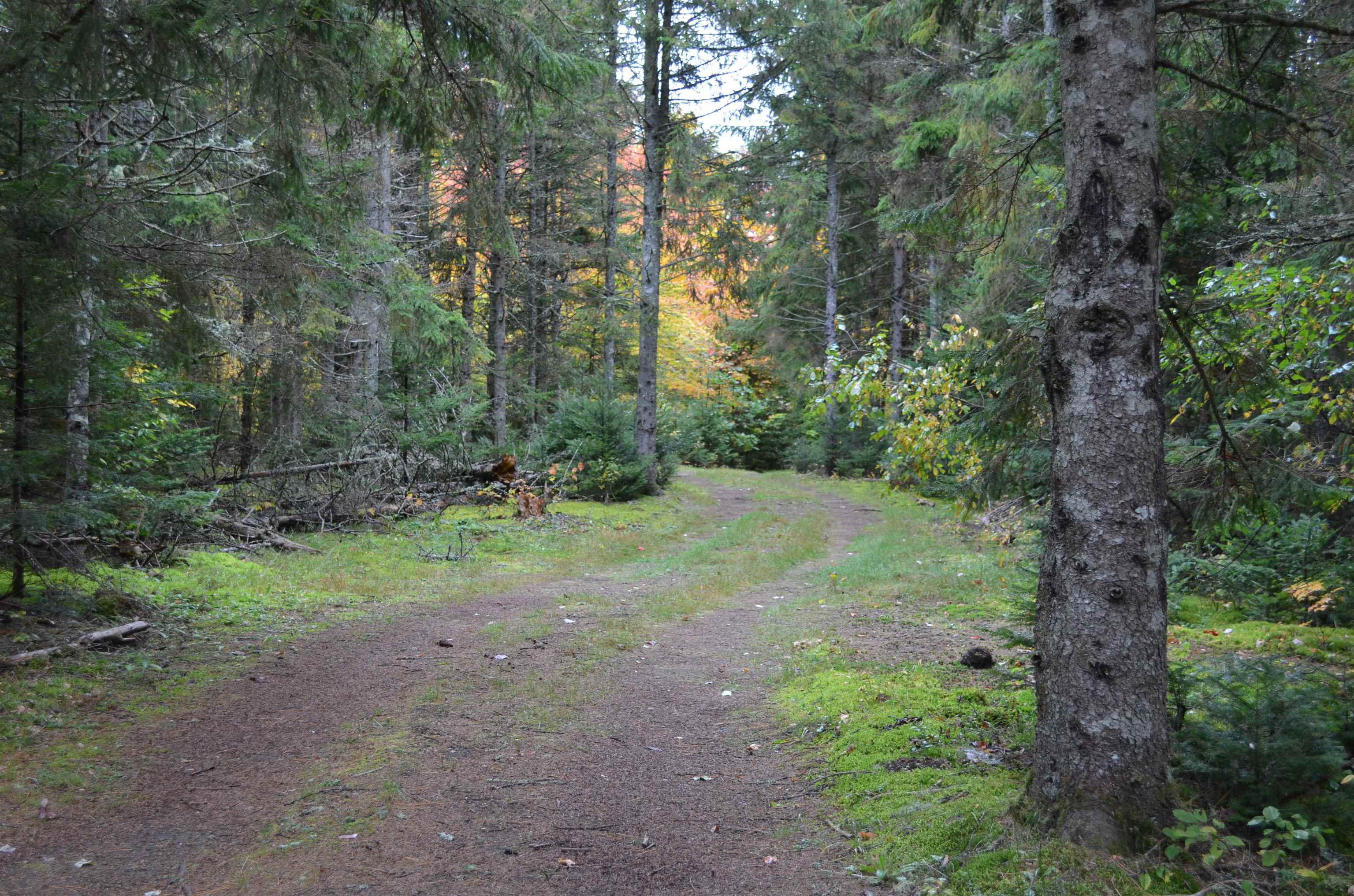 205 Deer Ridge Road Property Photo 28