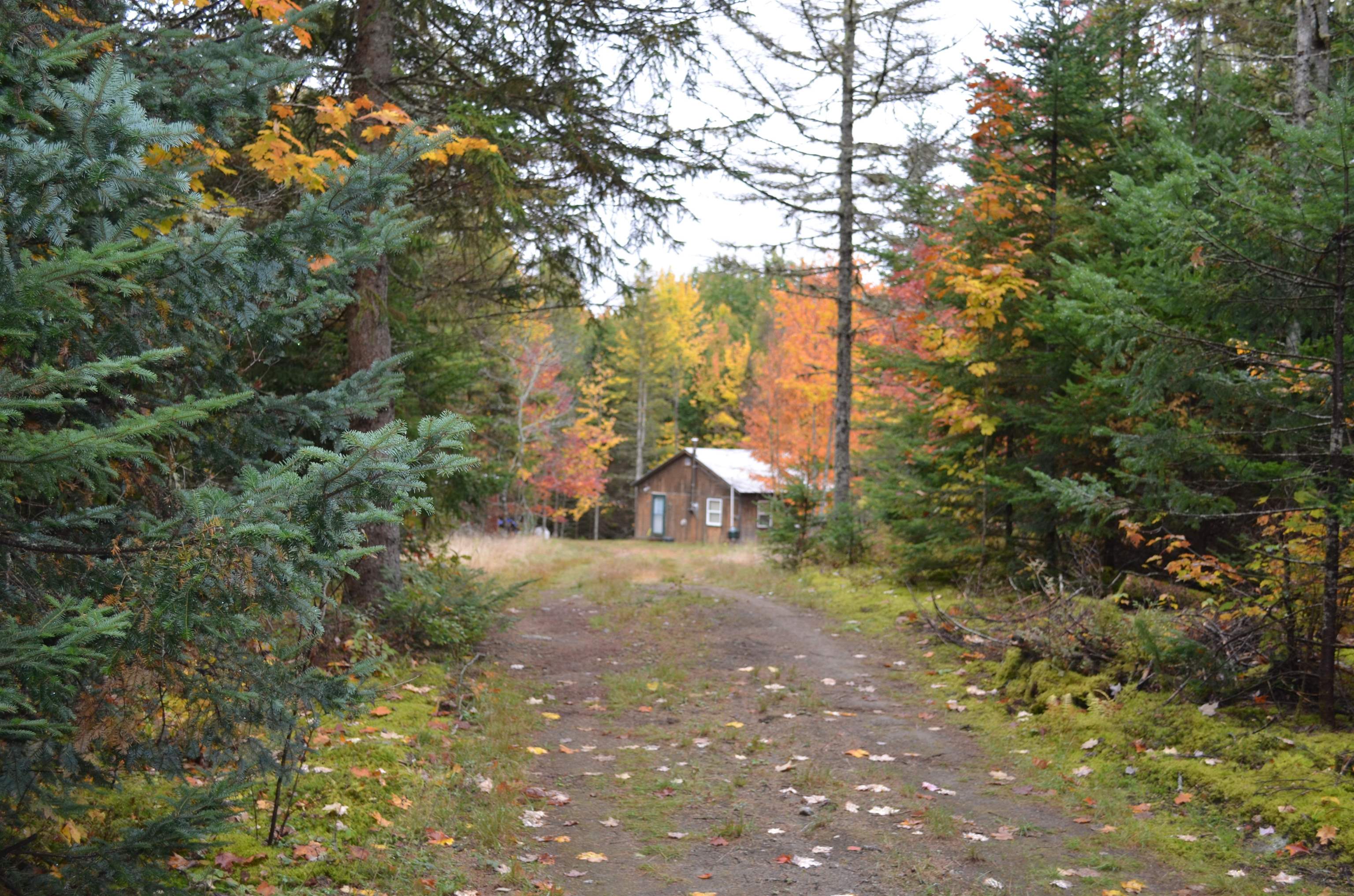 205 Deer Ridge Road Property Photo 29