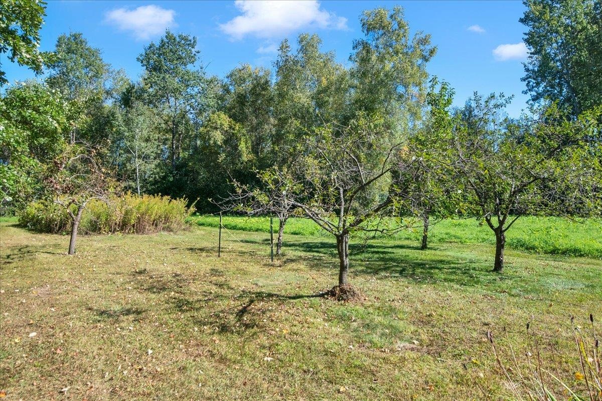 185 Dirt Drive Property Photo 49