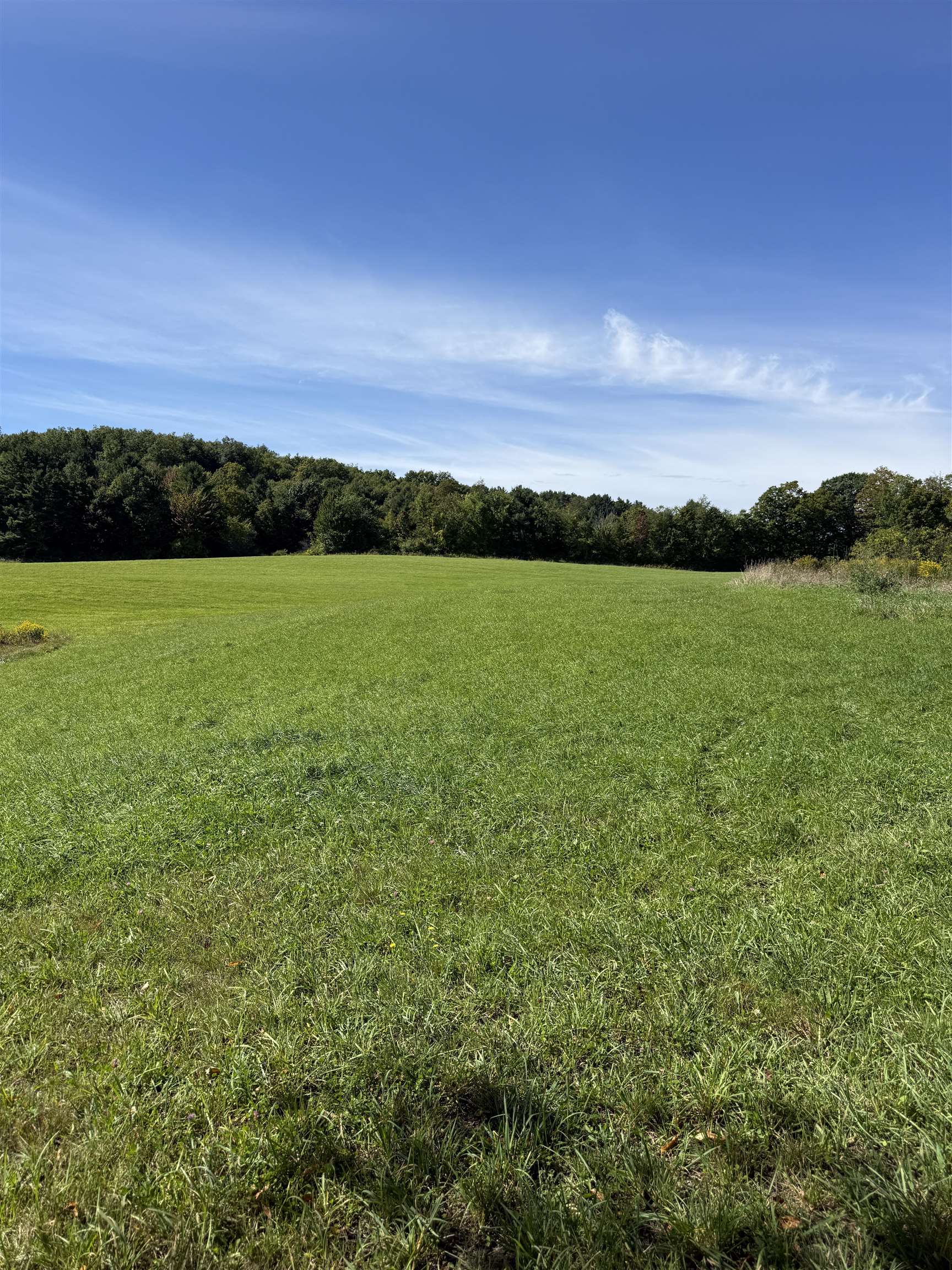 Woodbury & Eureka Road Property Photo 1