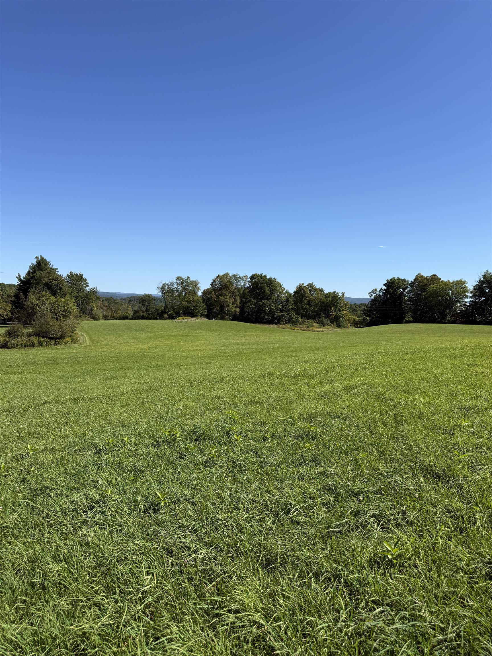 Woodbury & Eureka Road Property Photo 2